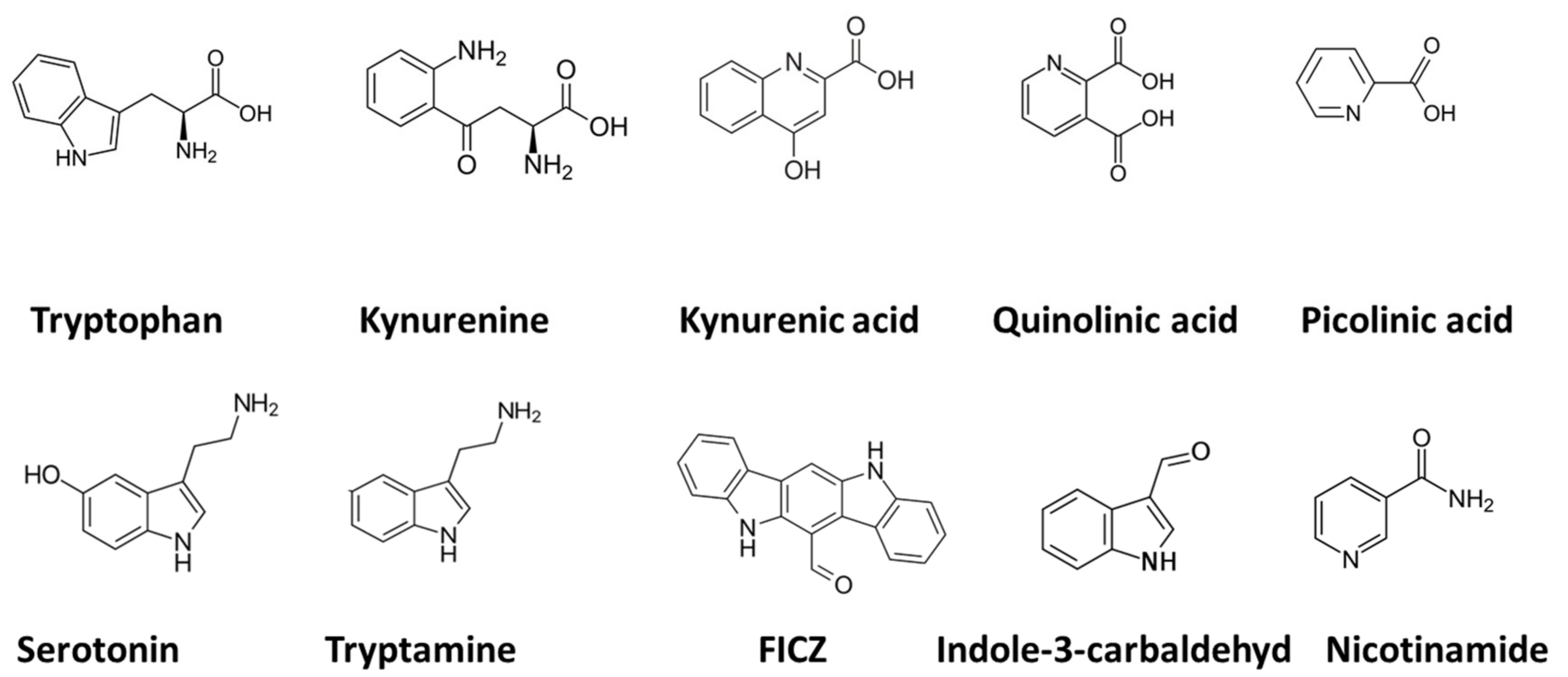 Biomolecules 12 00998 g002 550