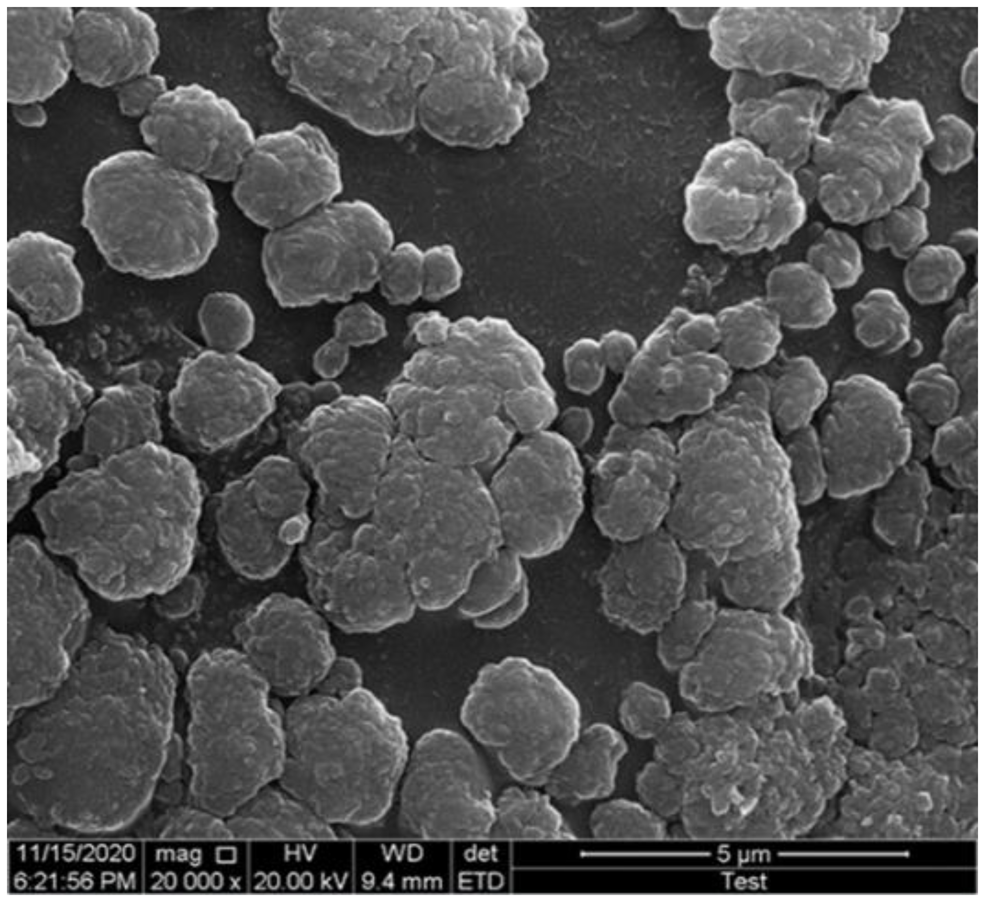 Biomolecules 12 00999 g001 Biomolecules 12 00999 g001