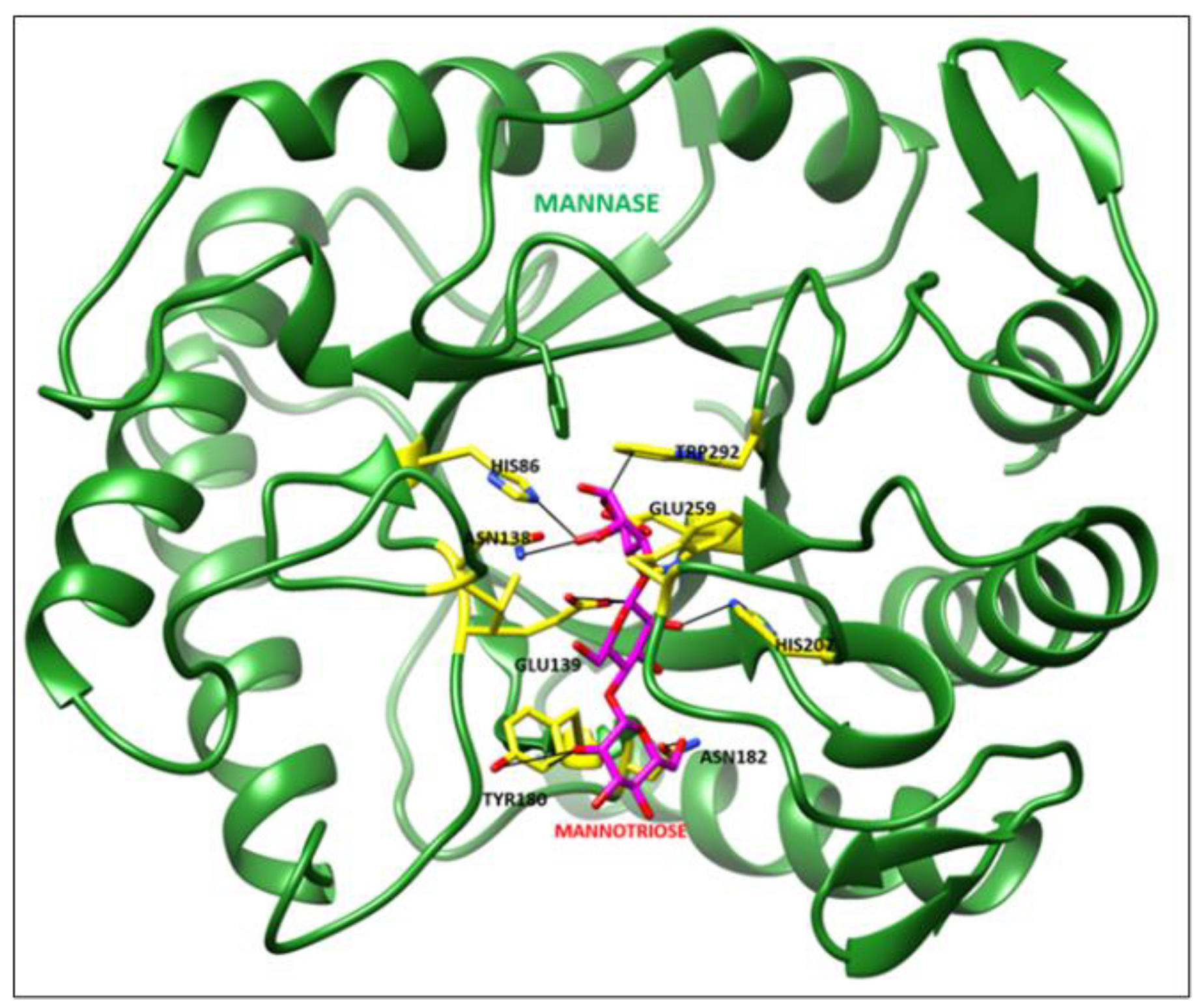 Biomolecules 12 00999 g011 Biomolecules 12 00999 g011