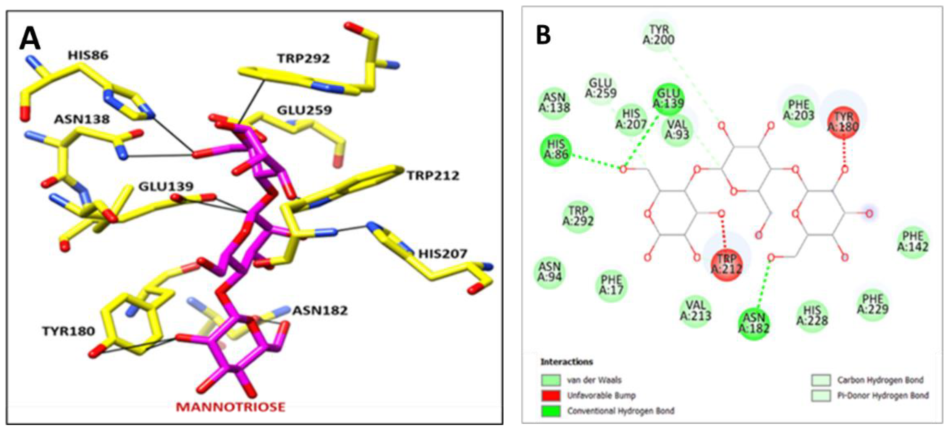 Biomolecules 12 00999 g012 Biomolecules 12 00999 g012
