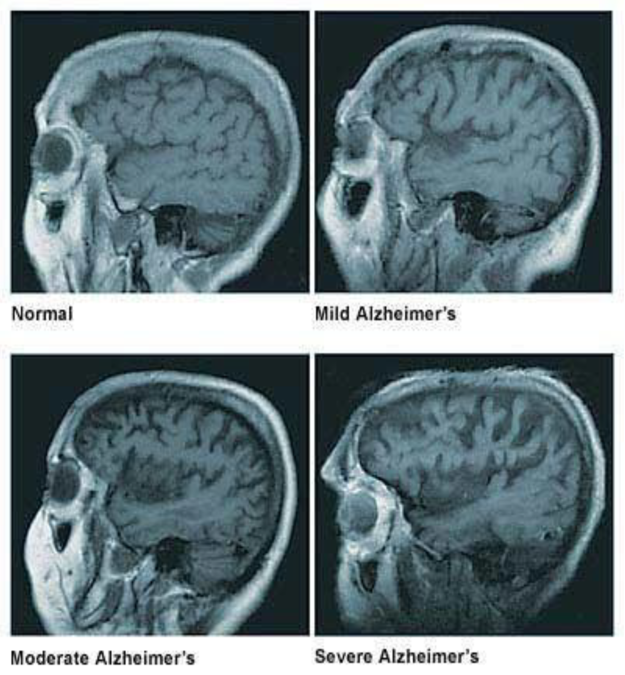 Biomolecules 12 01001 g001 550