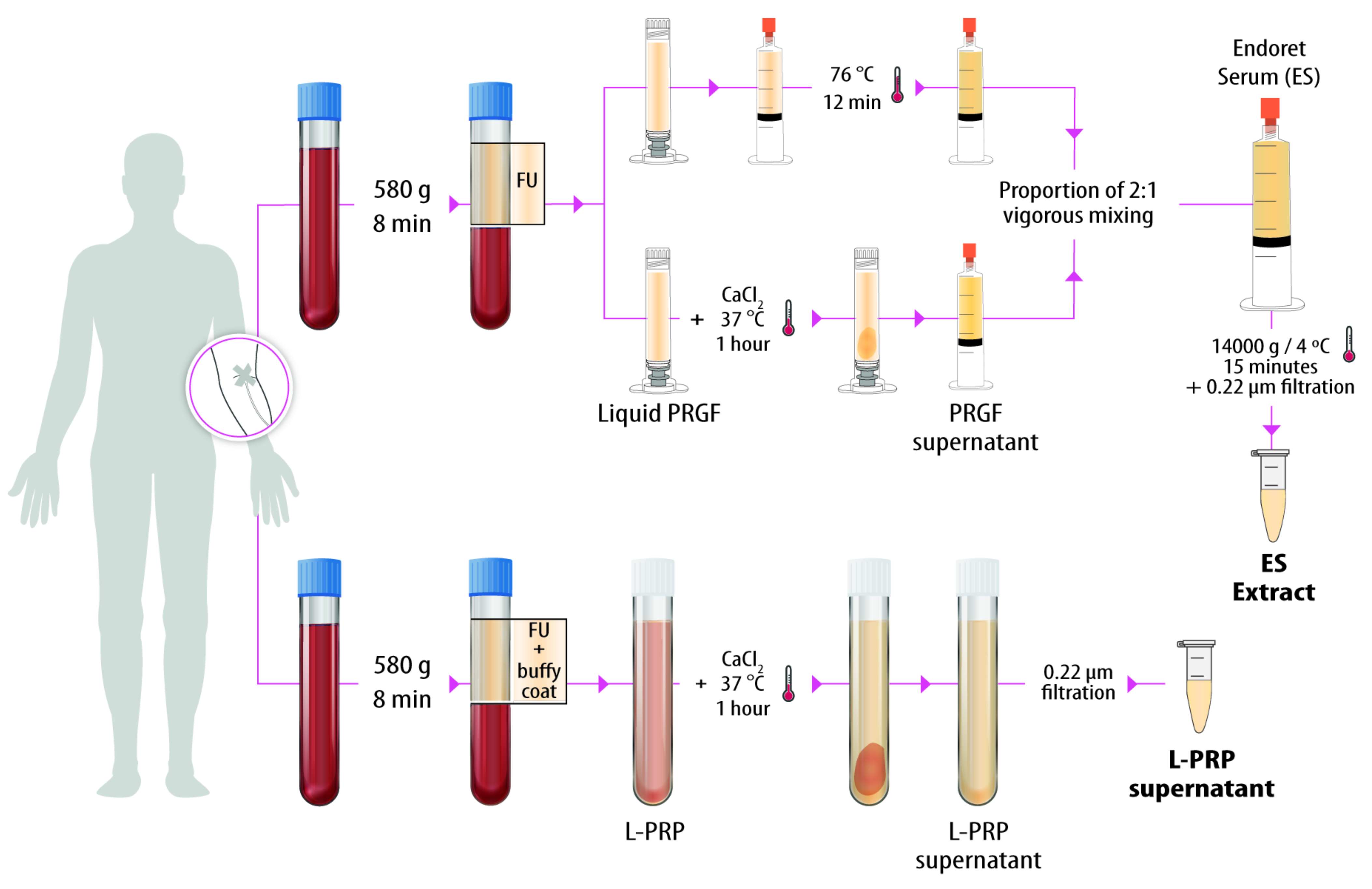Biomolecules 12 01002 g001