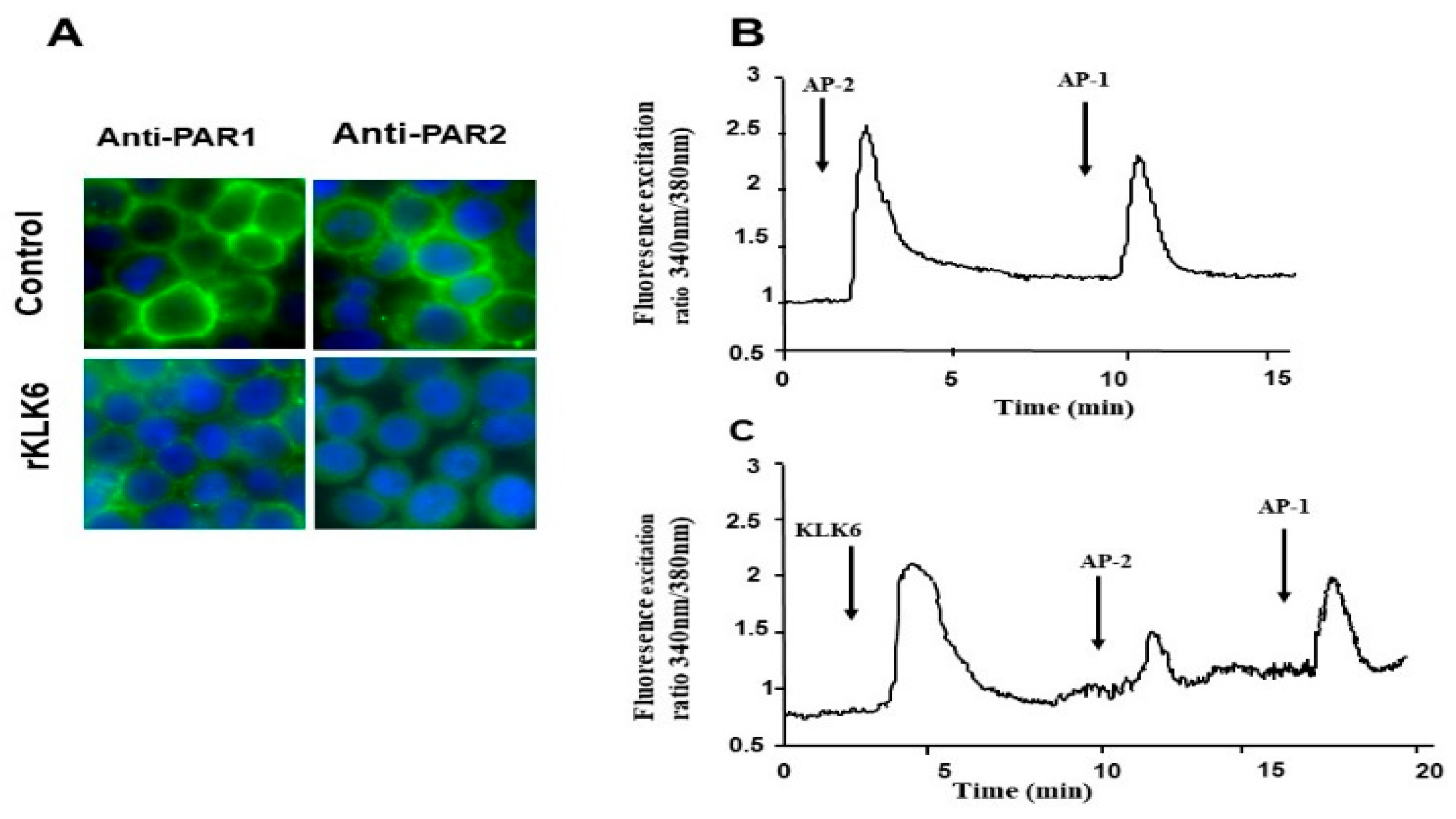 Biomolecules 12 01003 g003 550