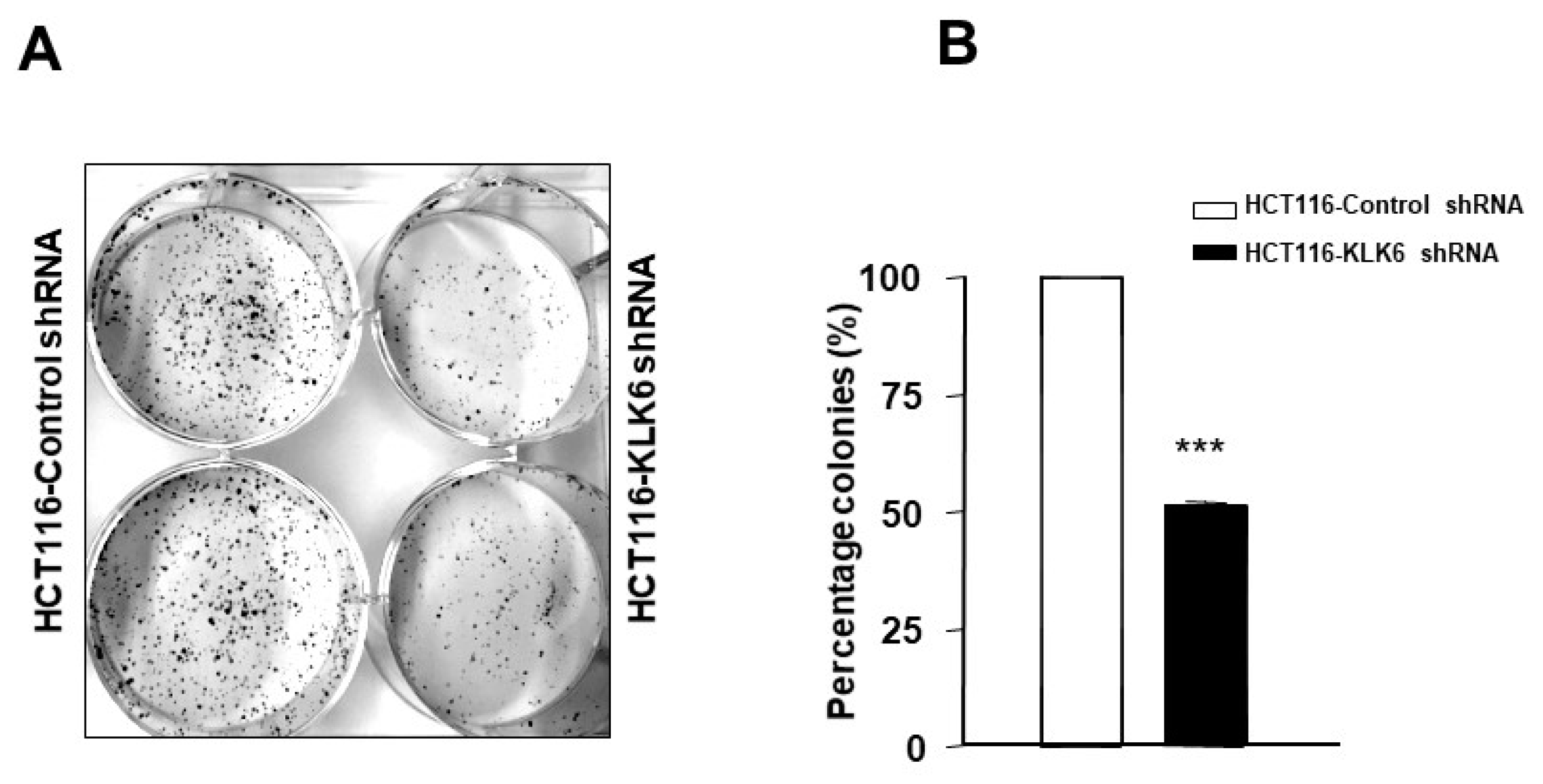 Biomolecules 12 01003 g005 550
