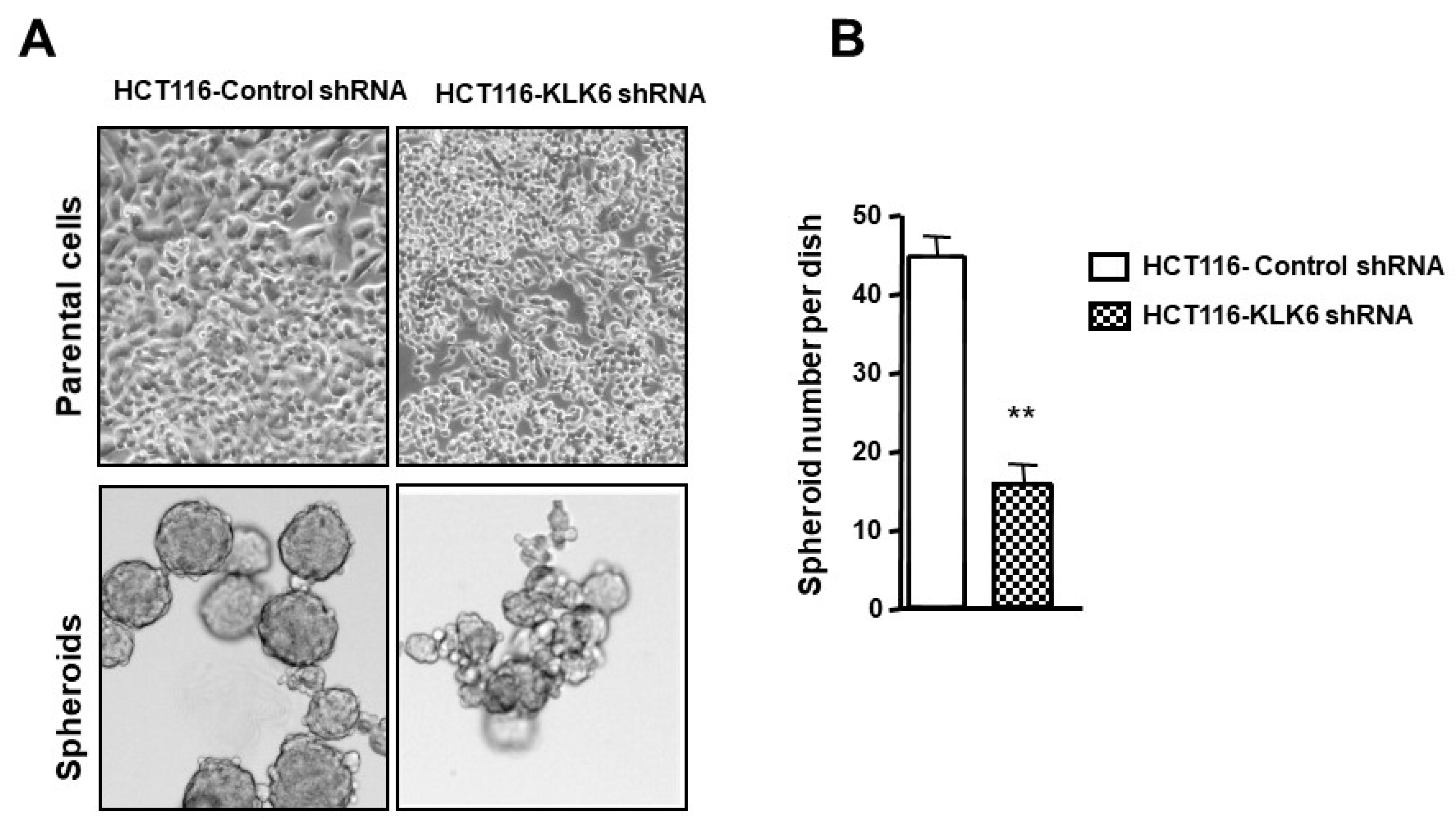 Biomolecules 12 01003 g007 550
