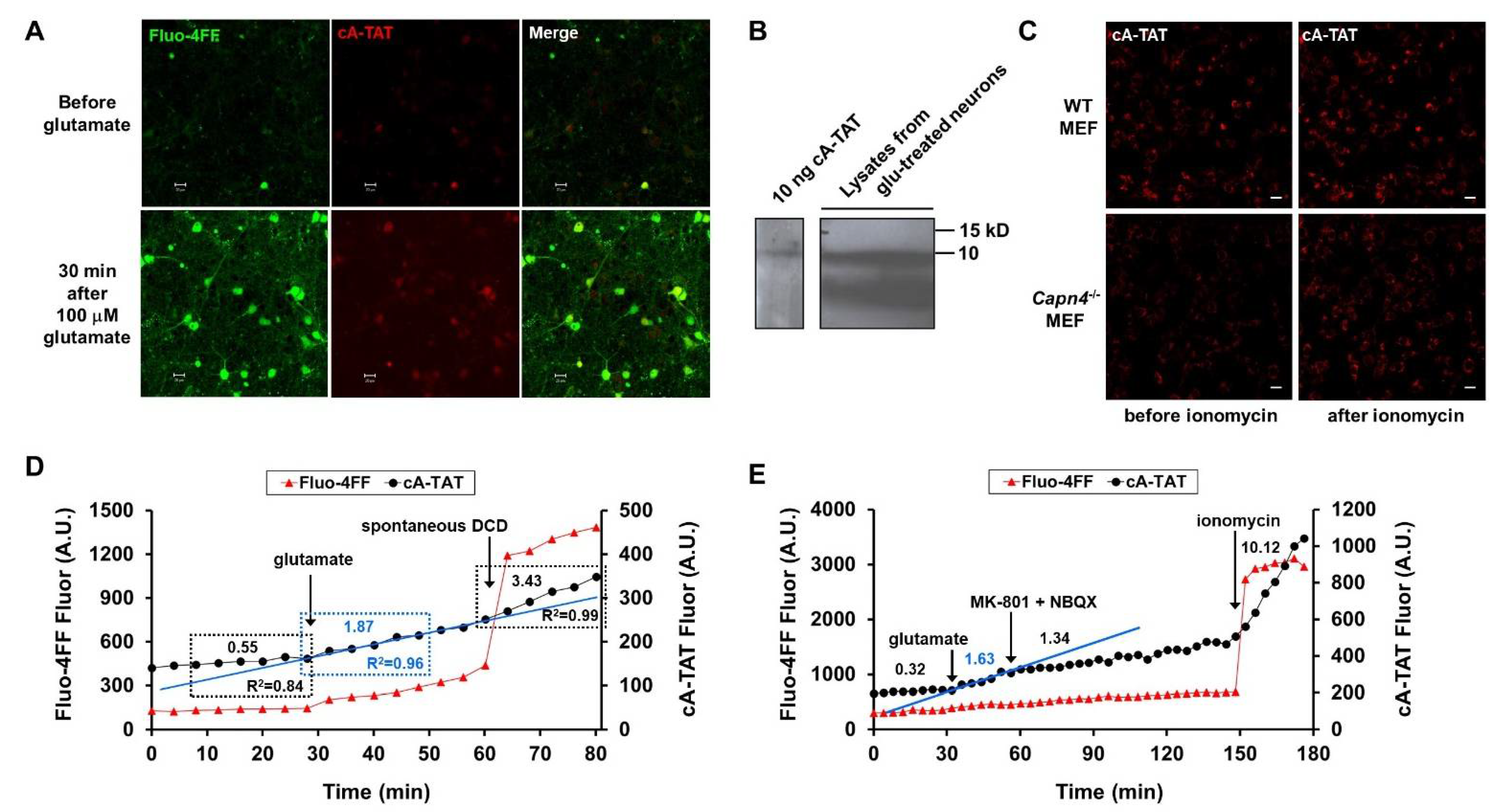Biomolecules 12 01004 g004 550