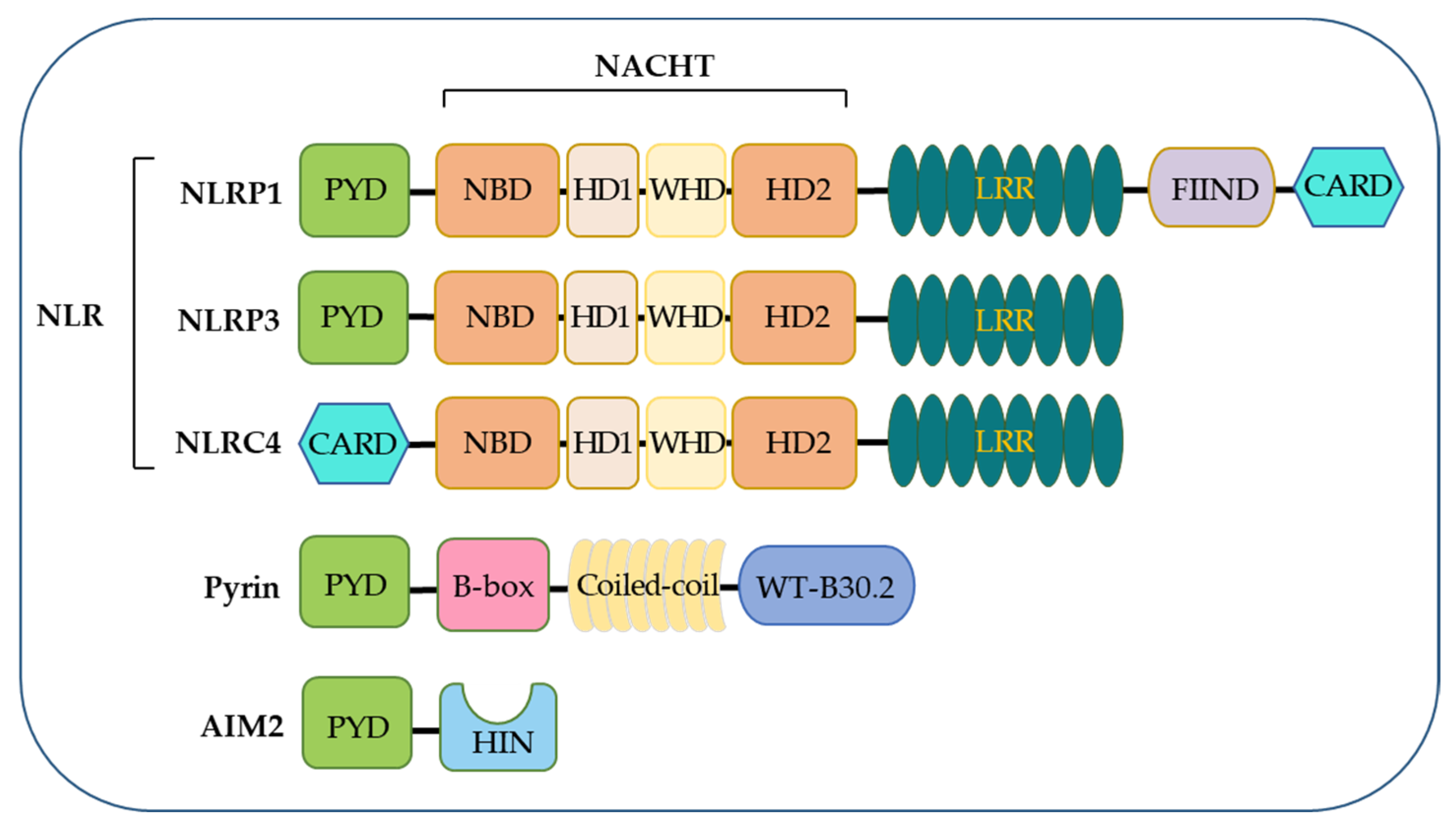 Biomolecules 12 01005 g001