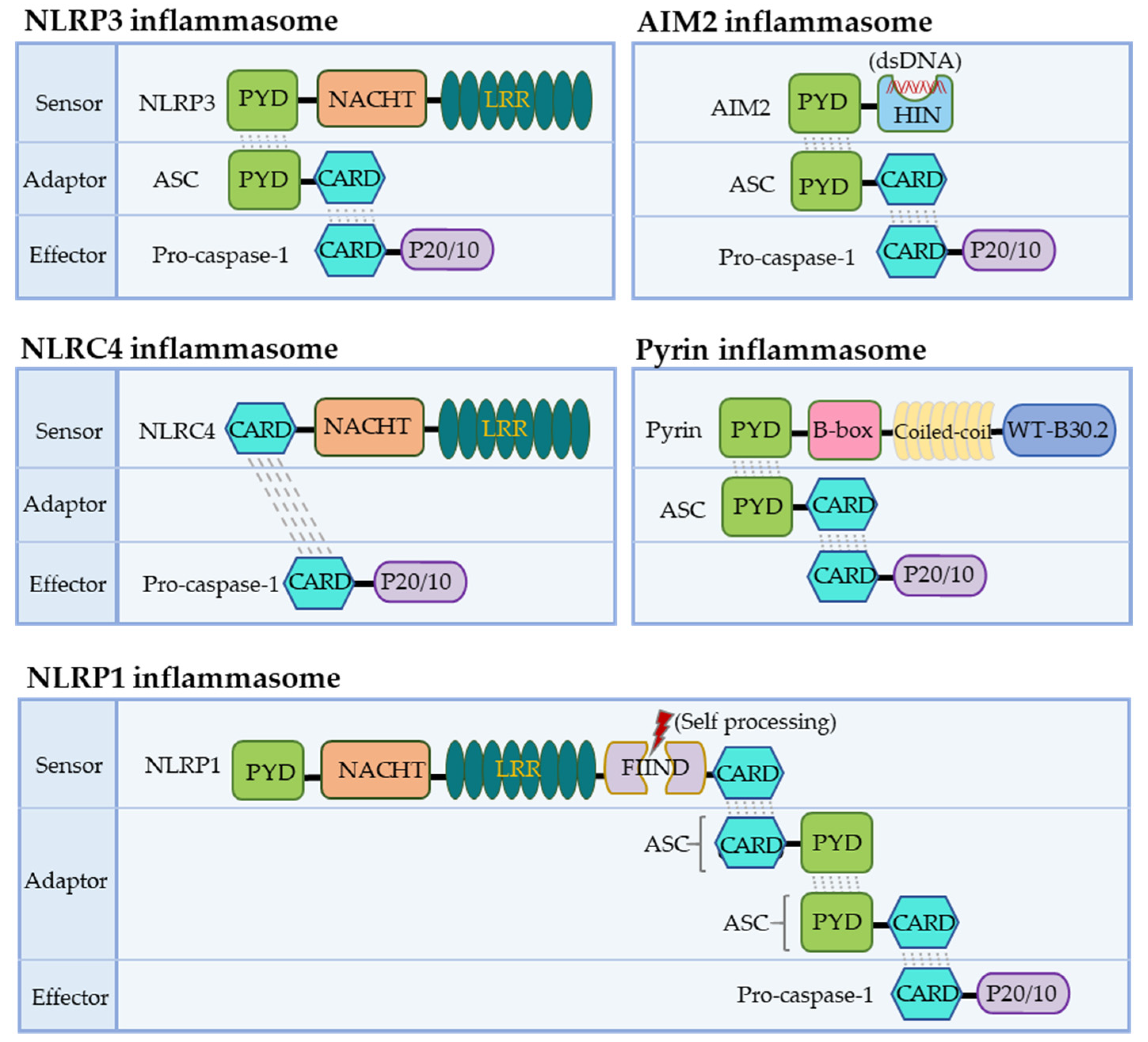 Biomolecules 12 01005 g002