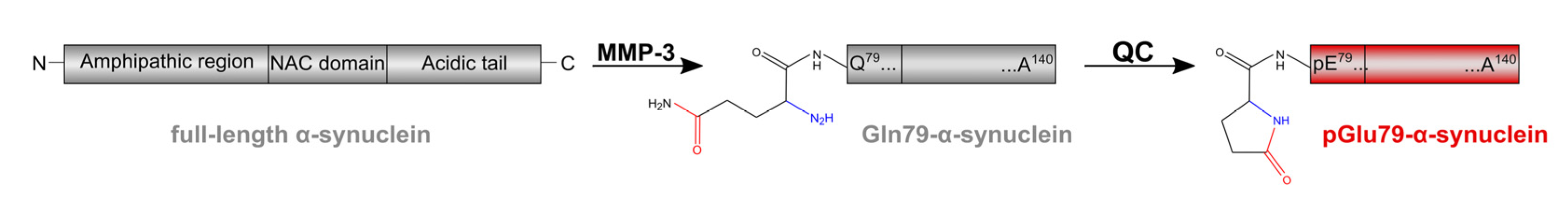 Biomolecules 12 01006 g001 Biomolecules 12 01006 g001