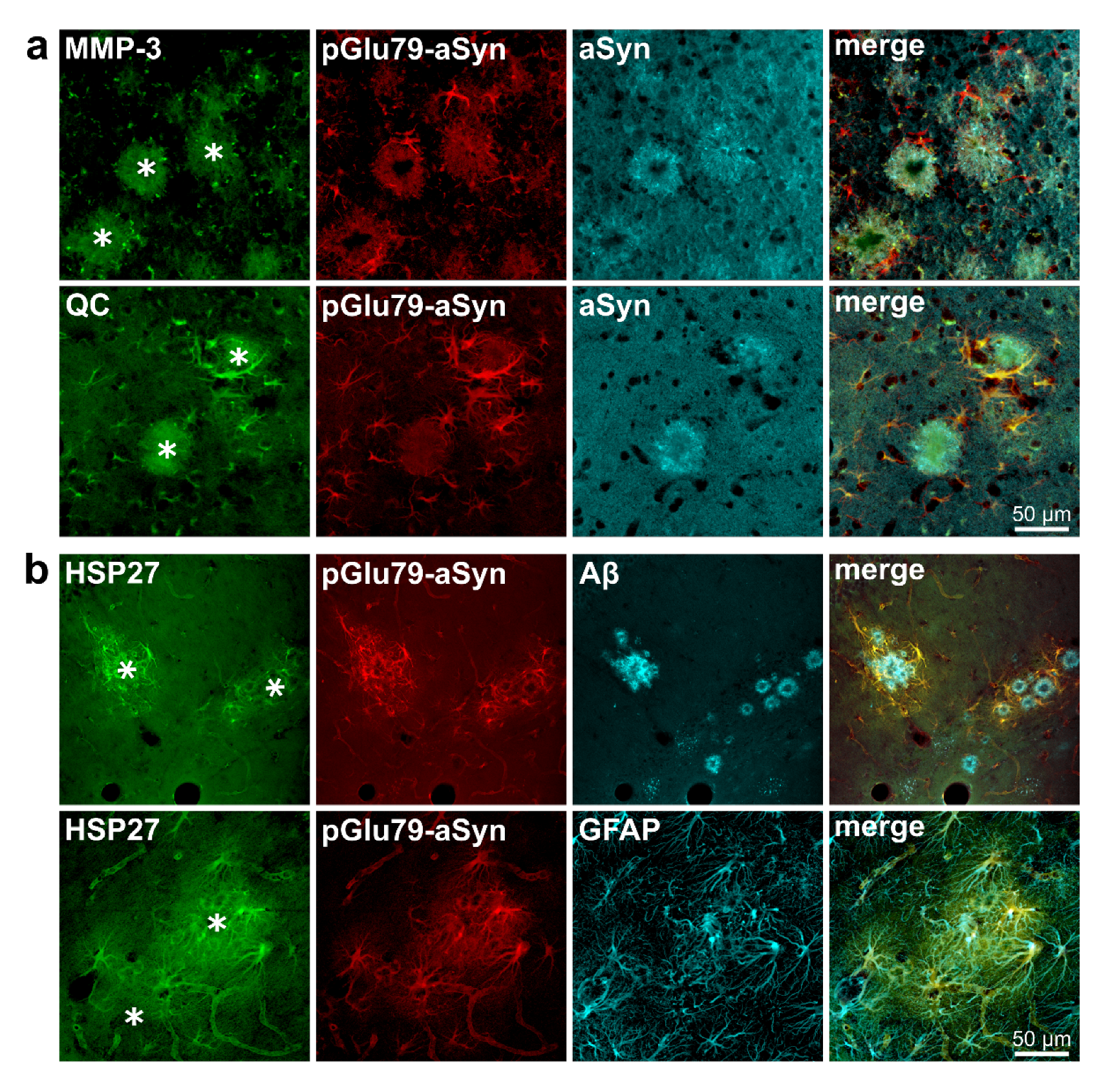 Biomolecules 12 01006 g004 Biomolecules 12 01006 g004