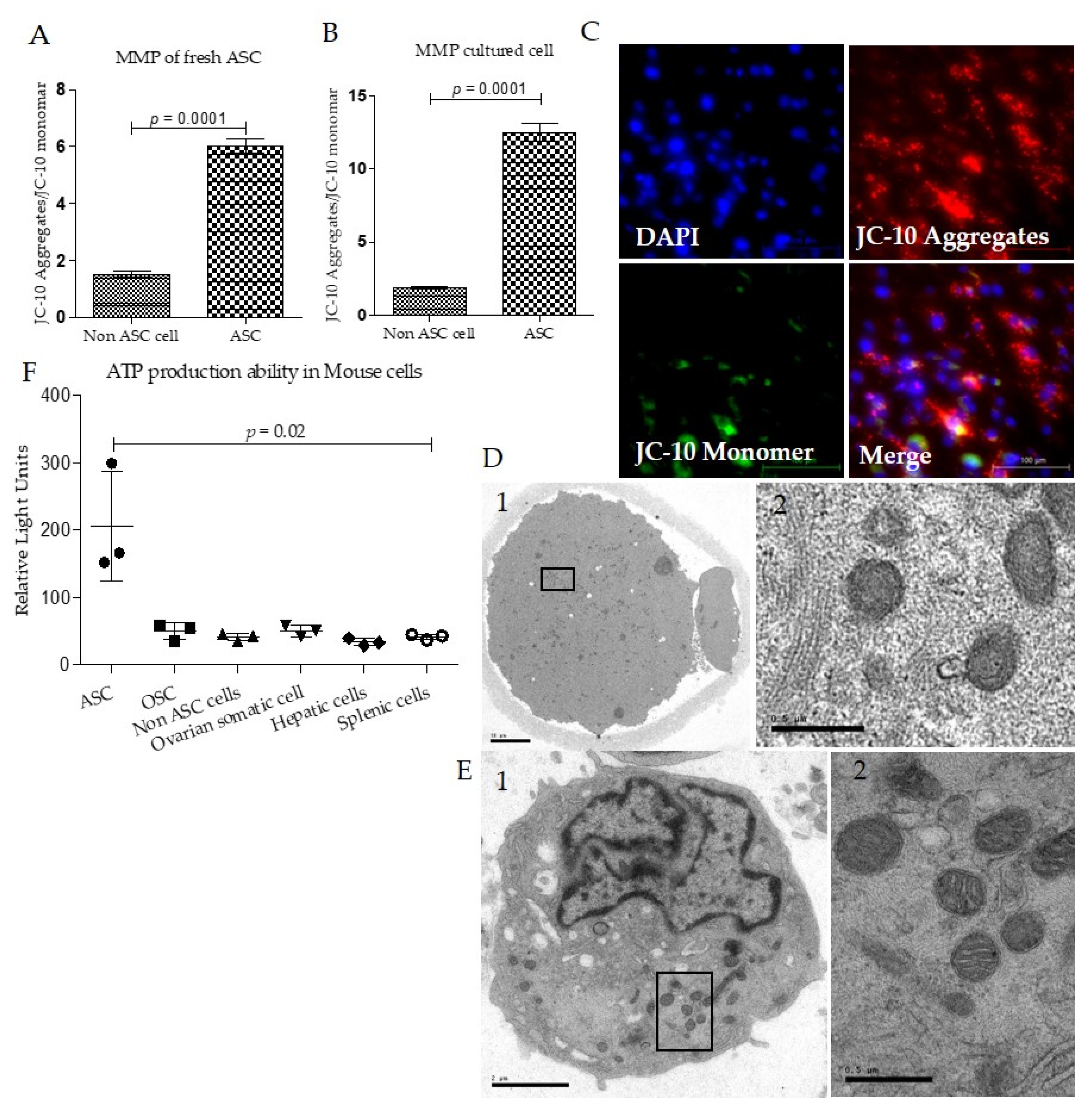 Biomolecules 12 01008 g003 Biomolecules 12 01008 g003