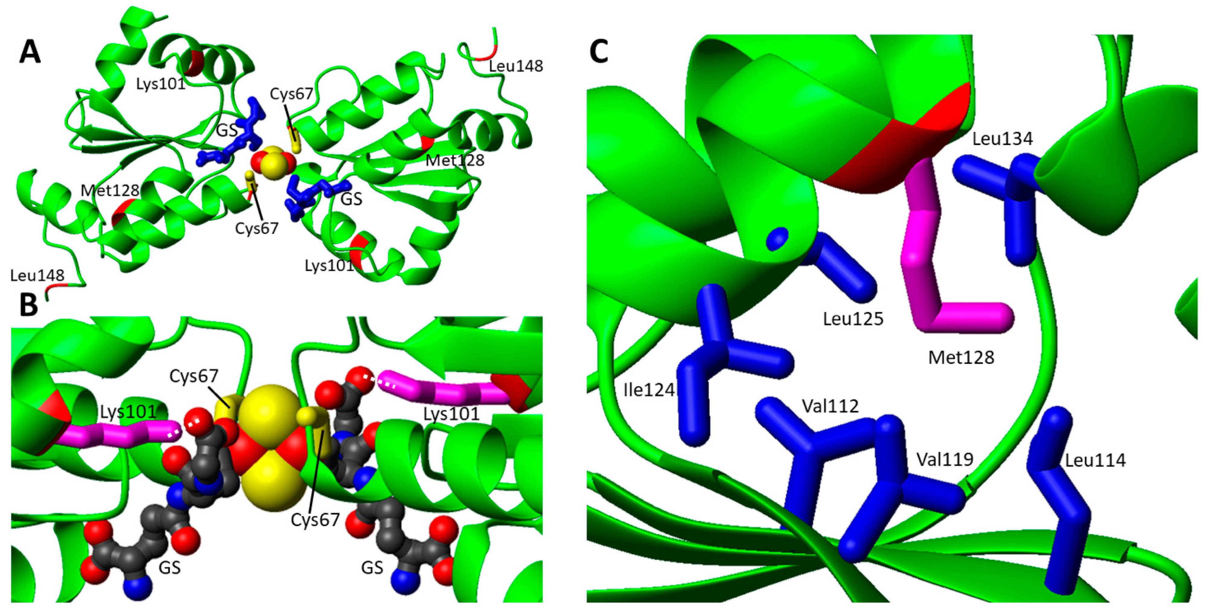 Biomolecules 12 01009 g002 Biomolecules 12 01009 g002