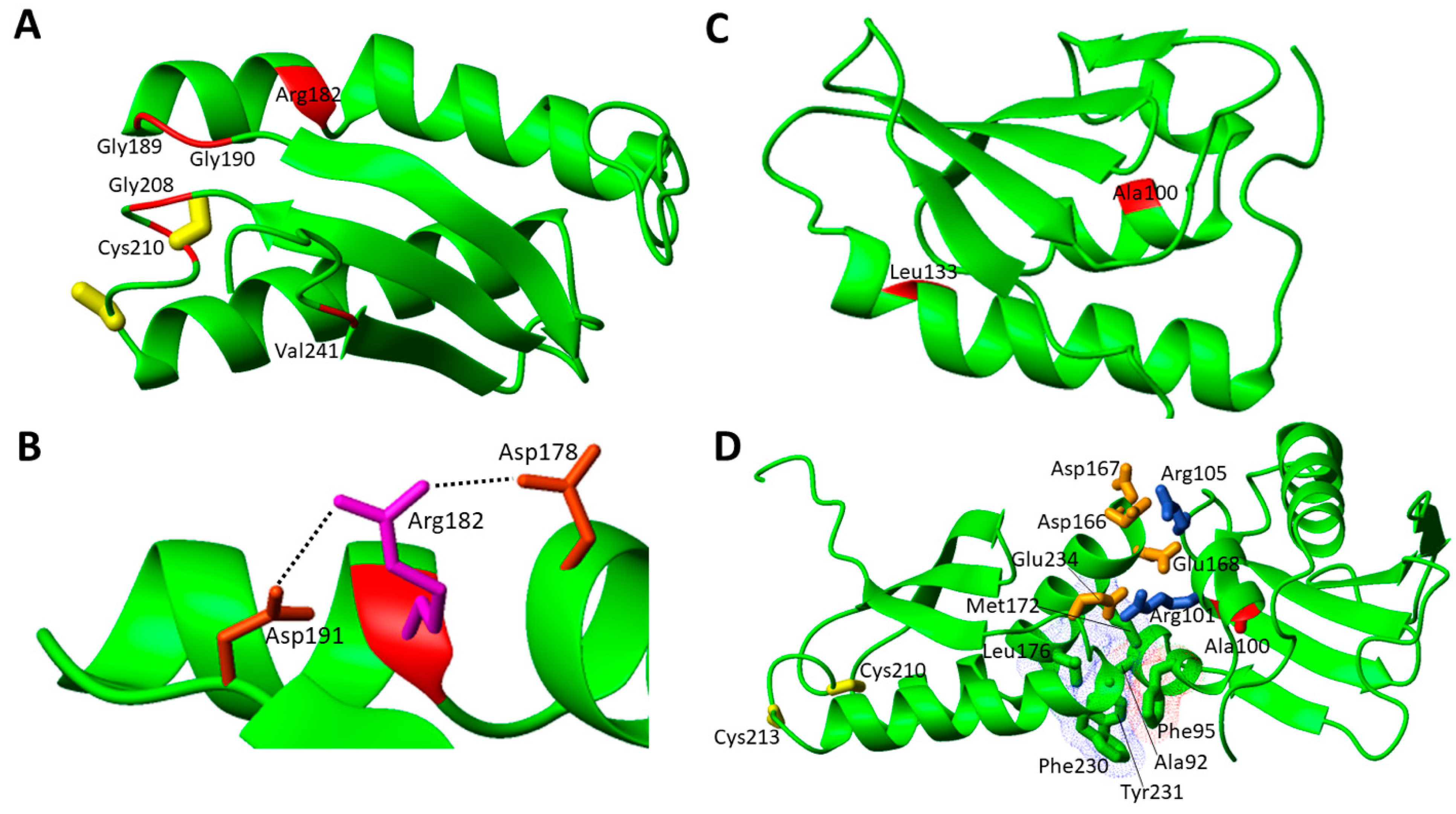 Biomolecules 12 01009 g003 Biomolecules 12 01009 g003