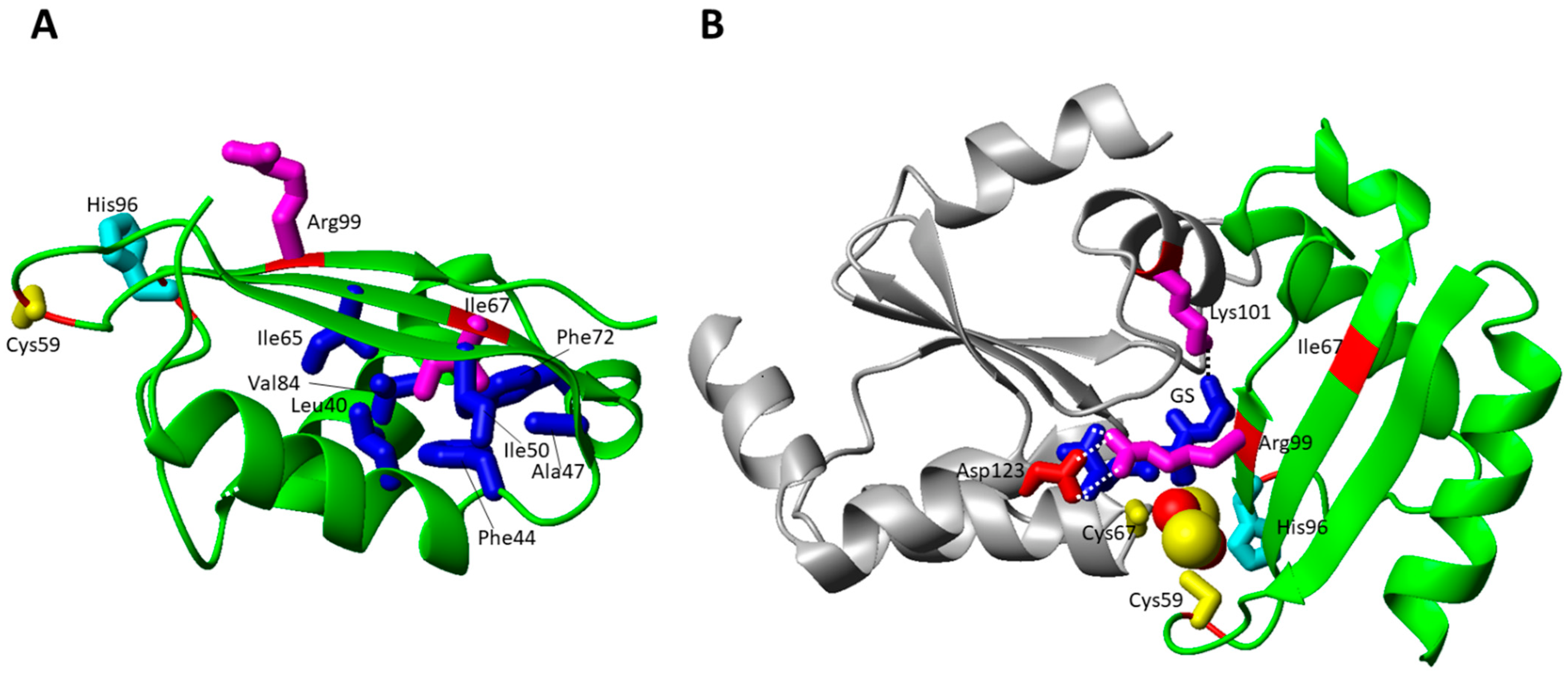 Biomolecules 12 01009 g004 Biomolecules 12 01009 g004