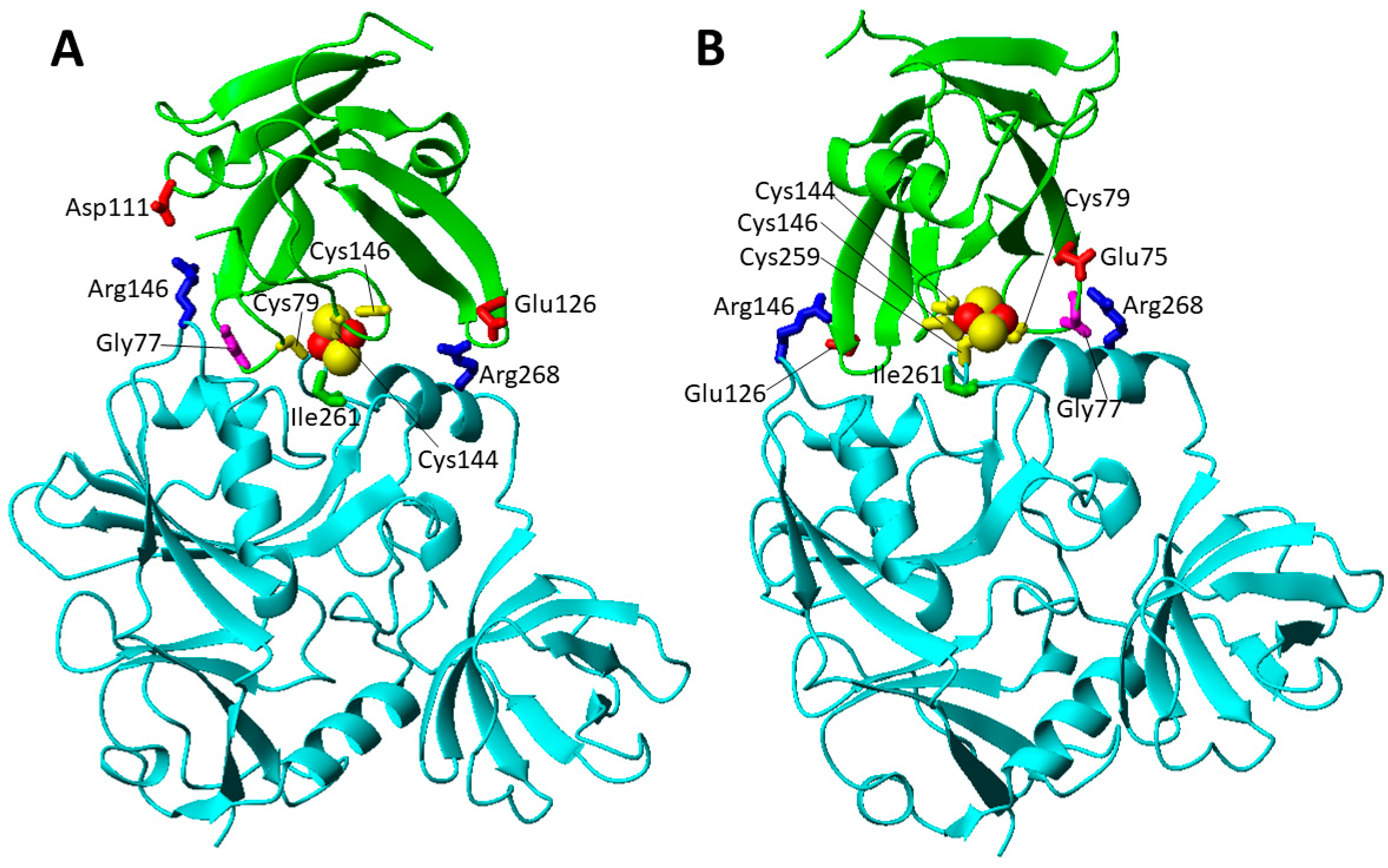 Biomolecules 12 01009 g006 Biomolecules 12 01009 g006