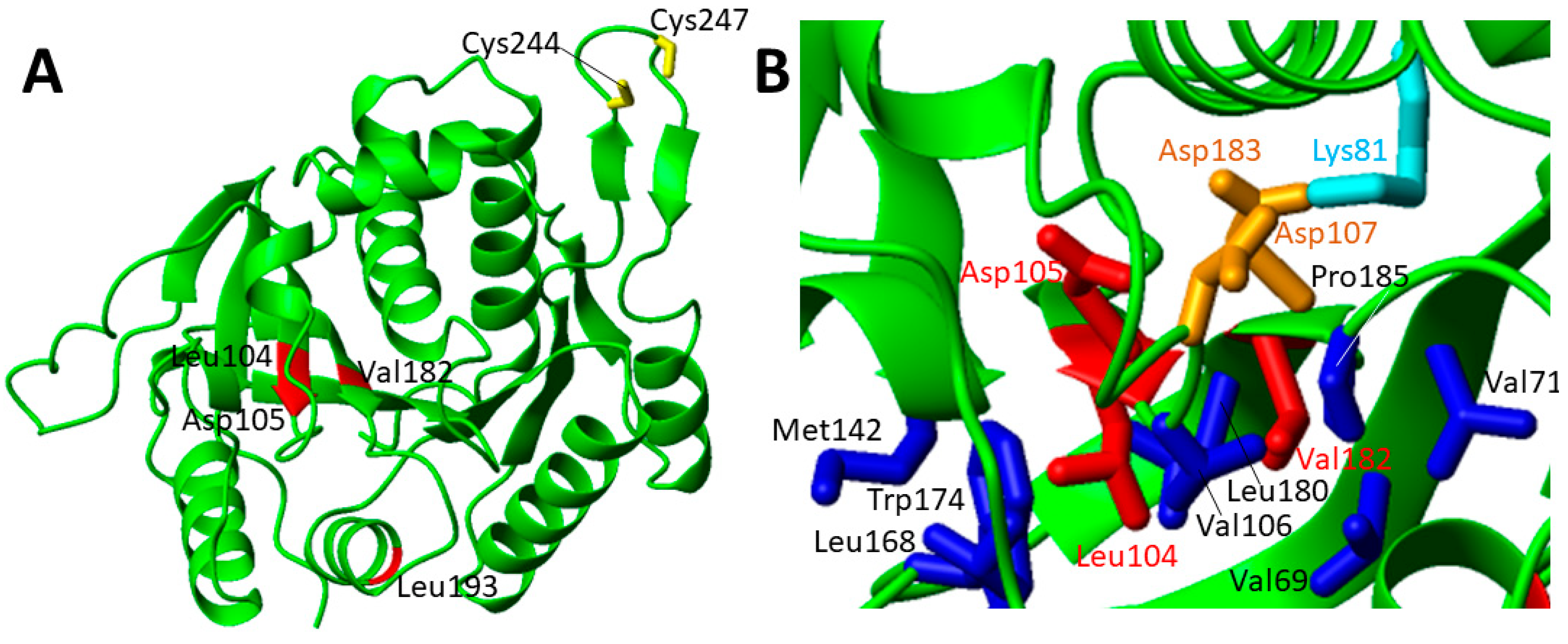 Biomolecules 12 01009 g009 Biomolecules 12 01009 g009