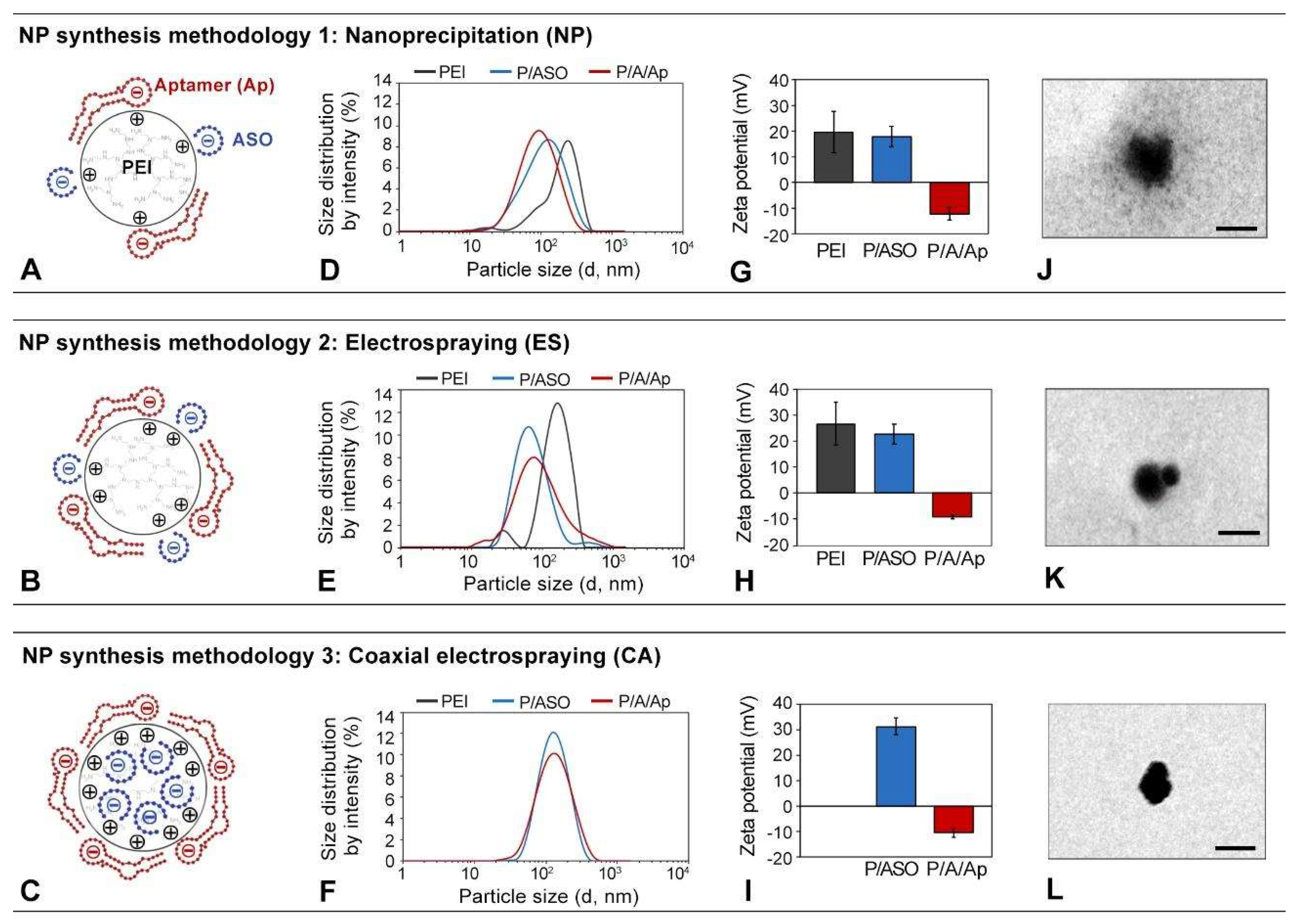 Biomolecules 12 01012 g001