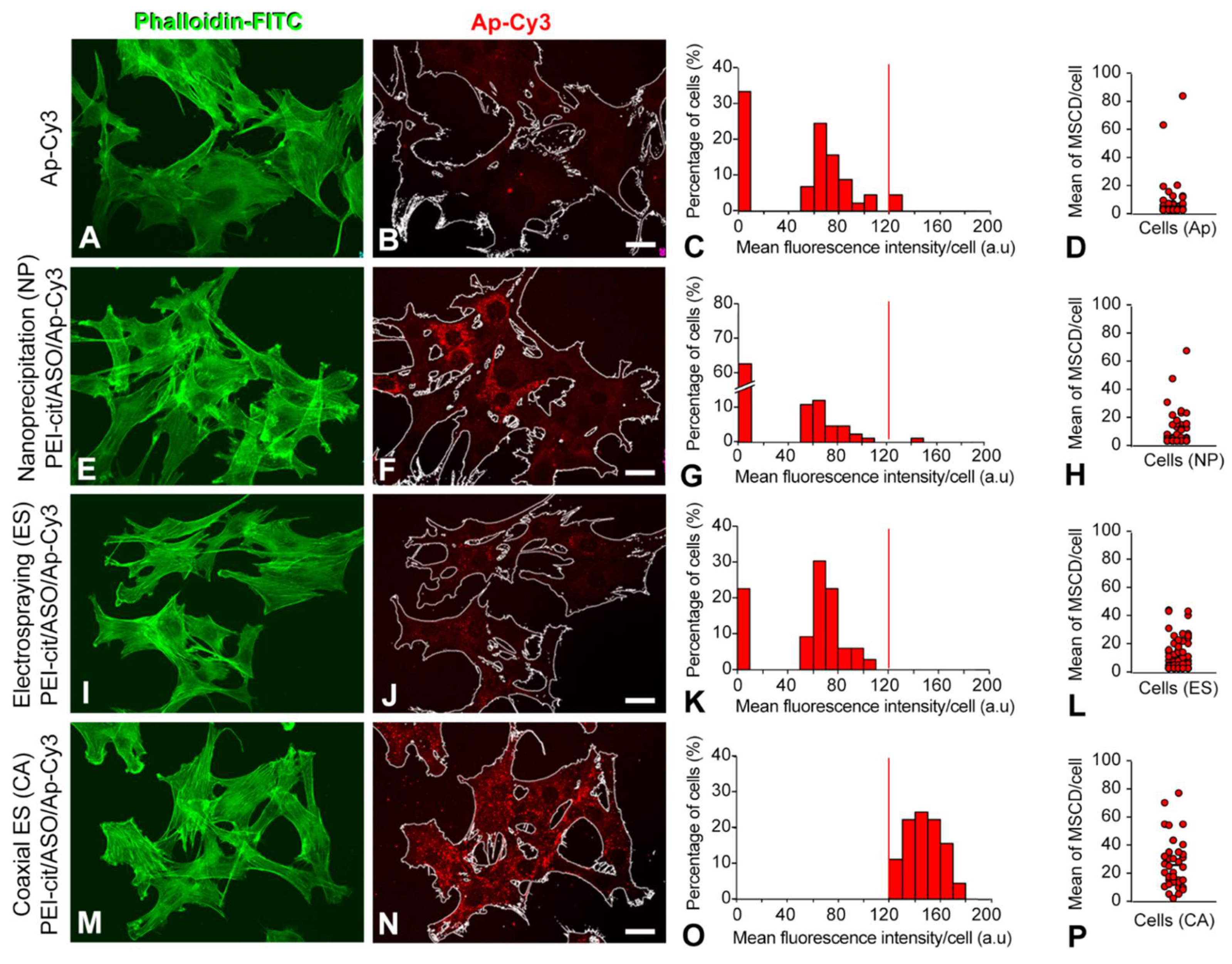 Biomolecules 12 01012 g004