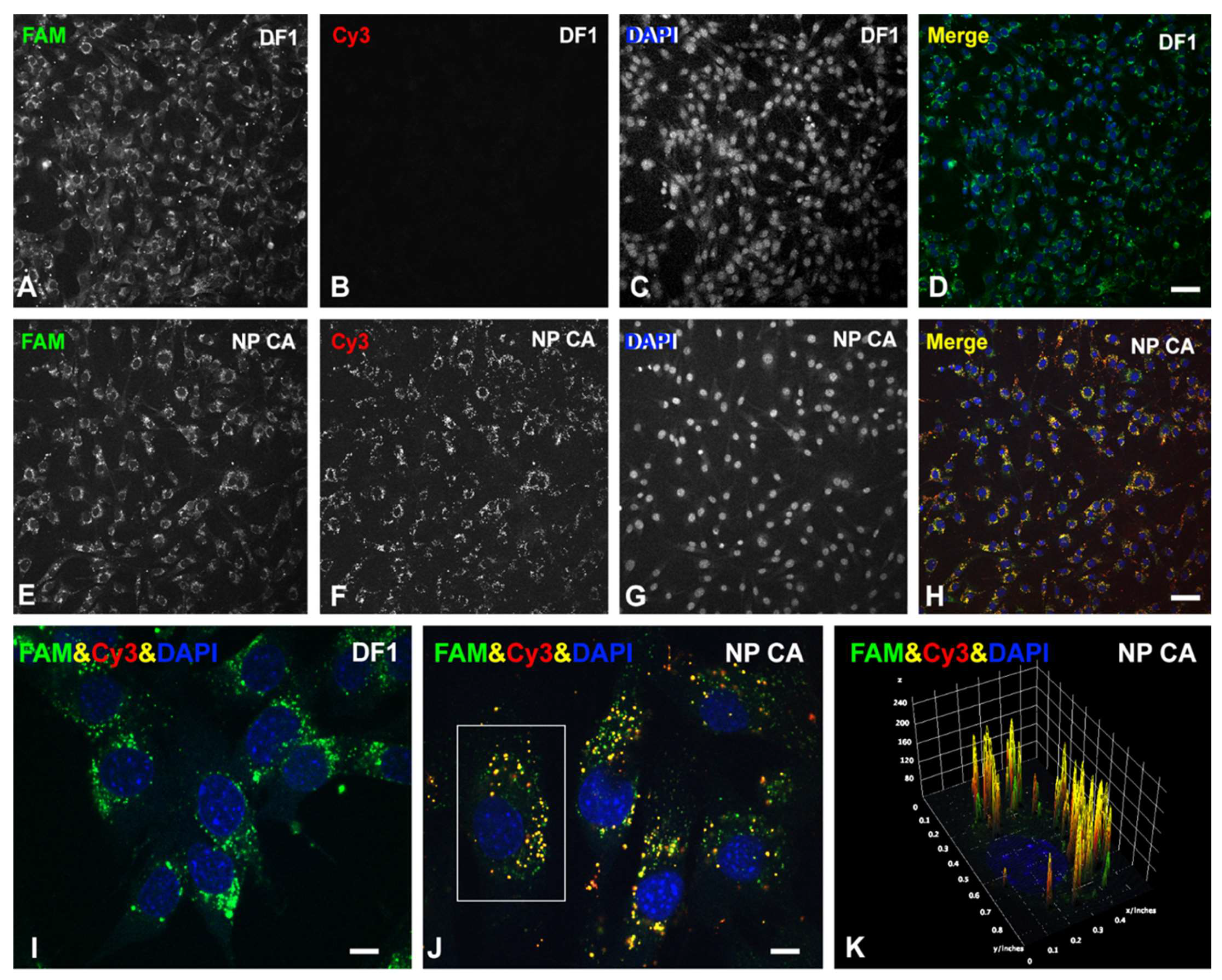 Biomolecules 12 01012 g005