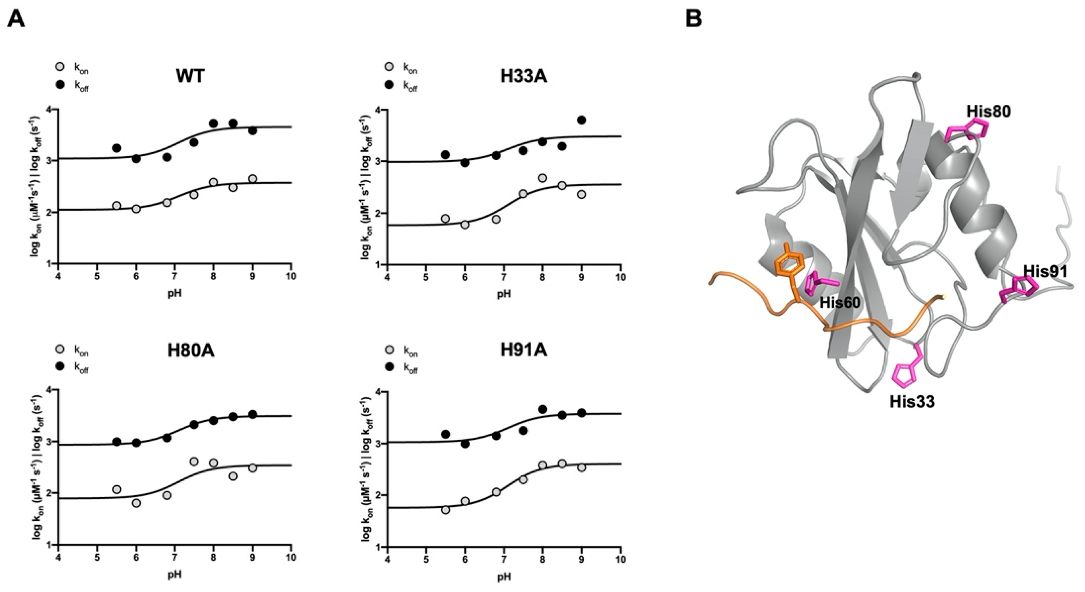 Biomolecules 12 01014 g005