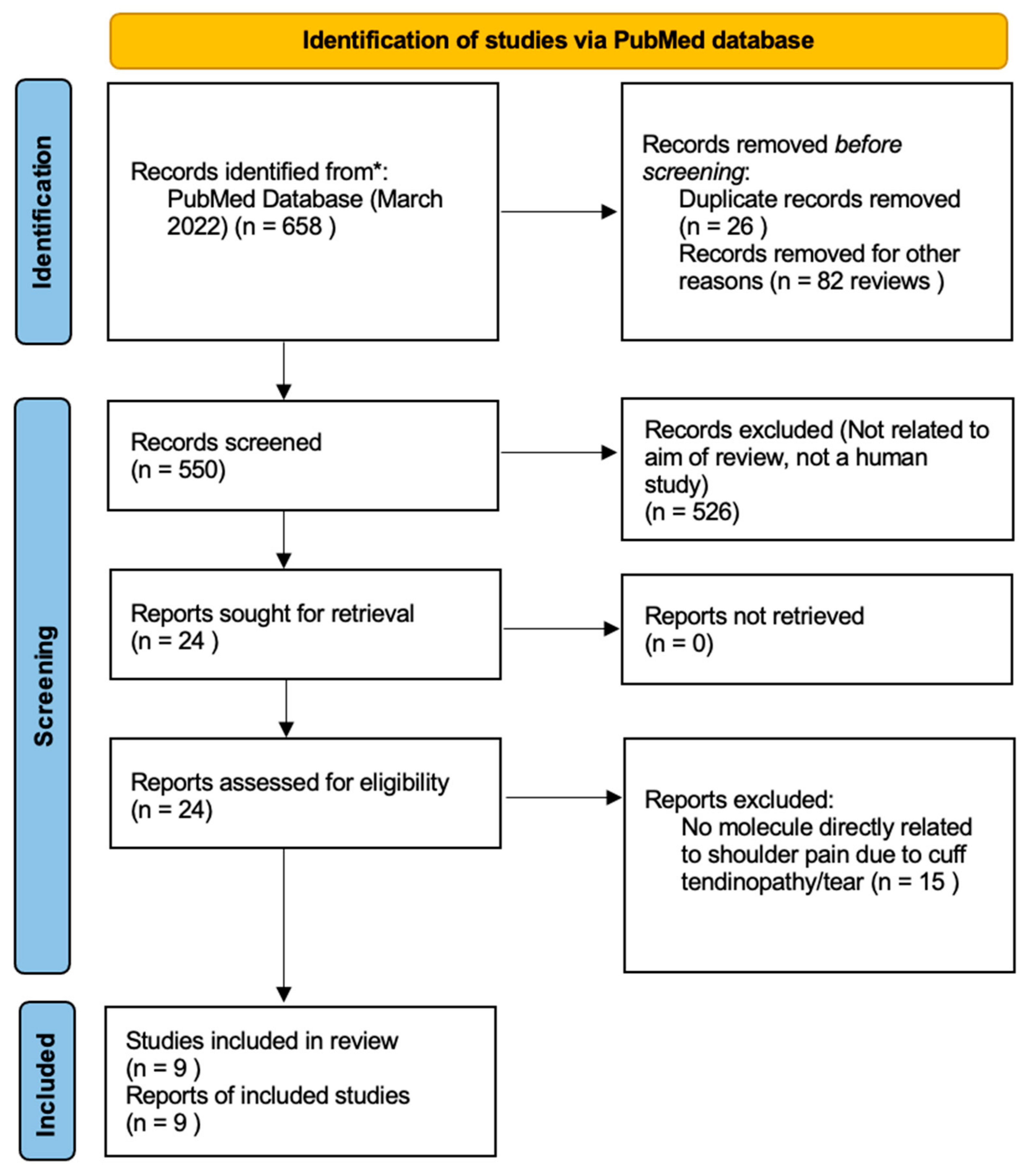 Biomolecules 12 01016 g001 Biomolecules 12 01016 g001