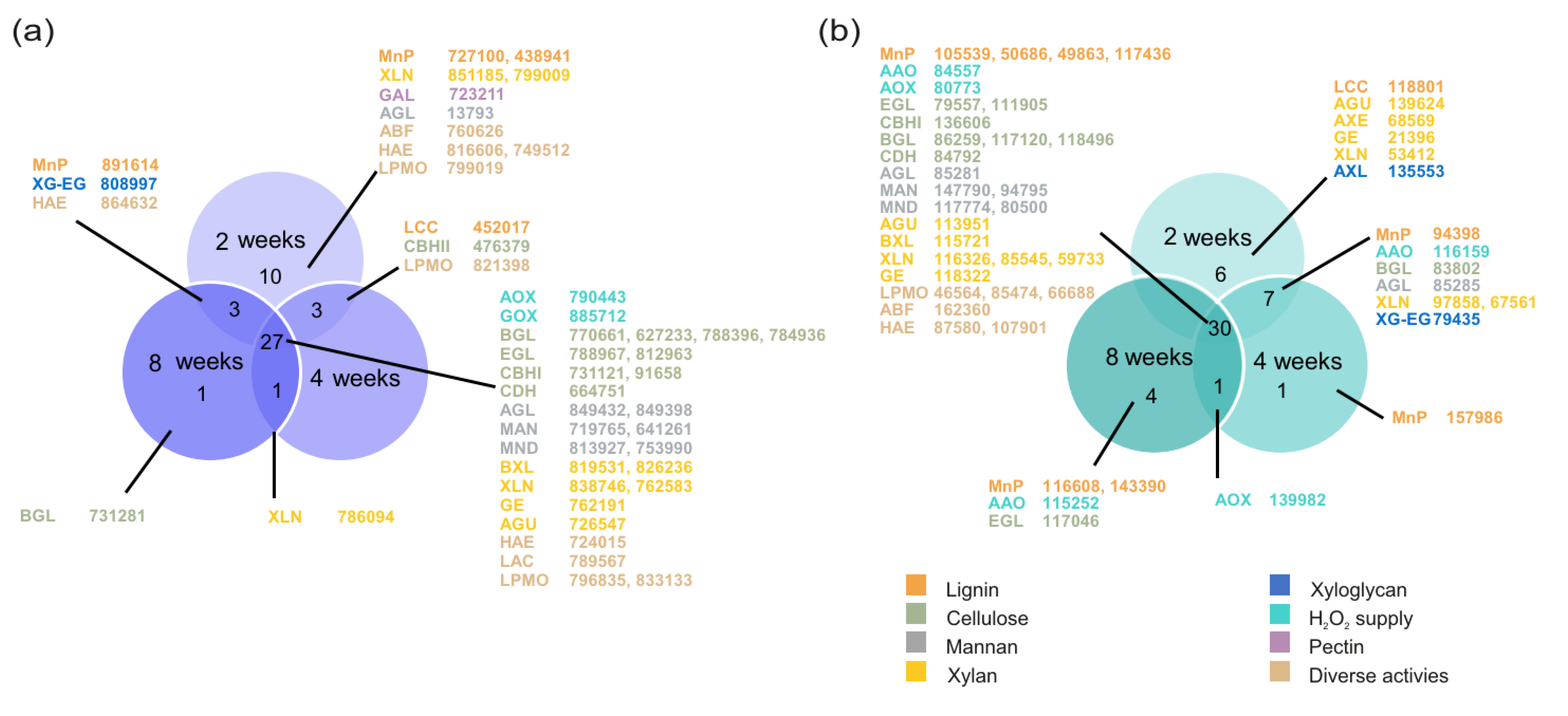 Biomolecules 12 01017 g002