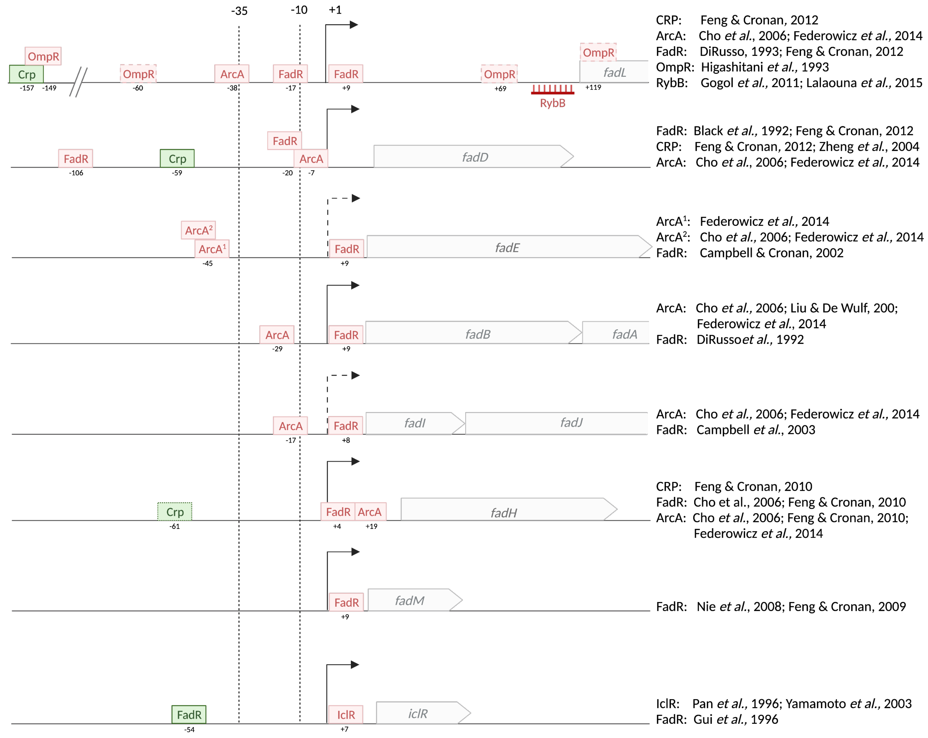 Biomolecules 12 01019 g009 Biomolecules 12 01019 g009