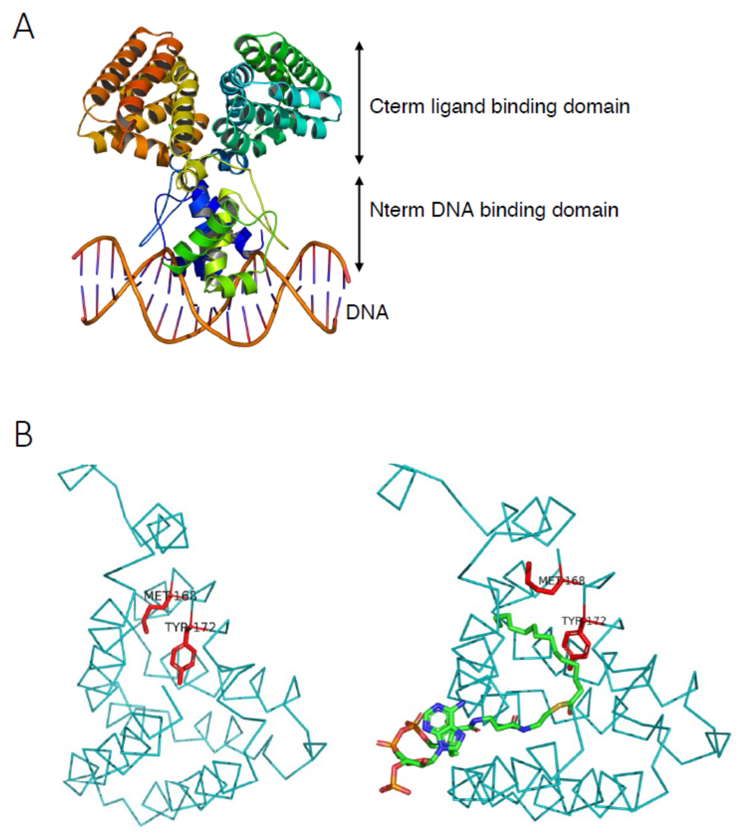 Biomolecules 12 01019 g011 Biomolecules 12 01019 g011