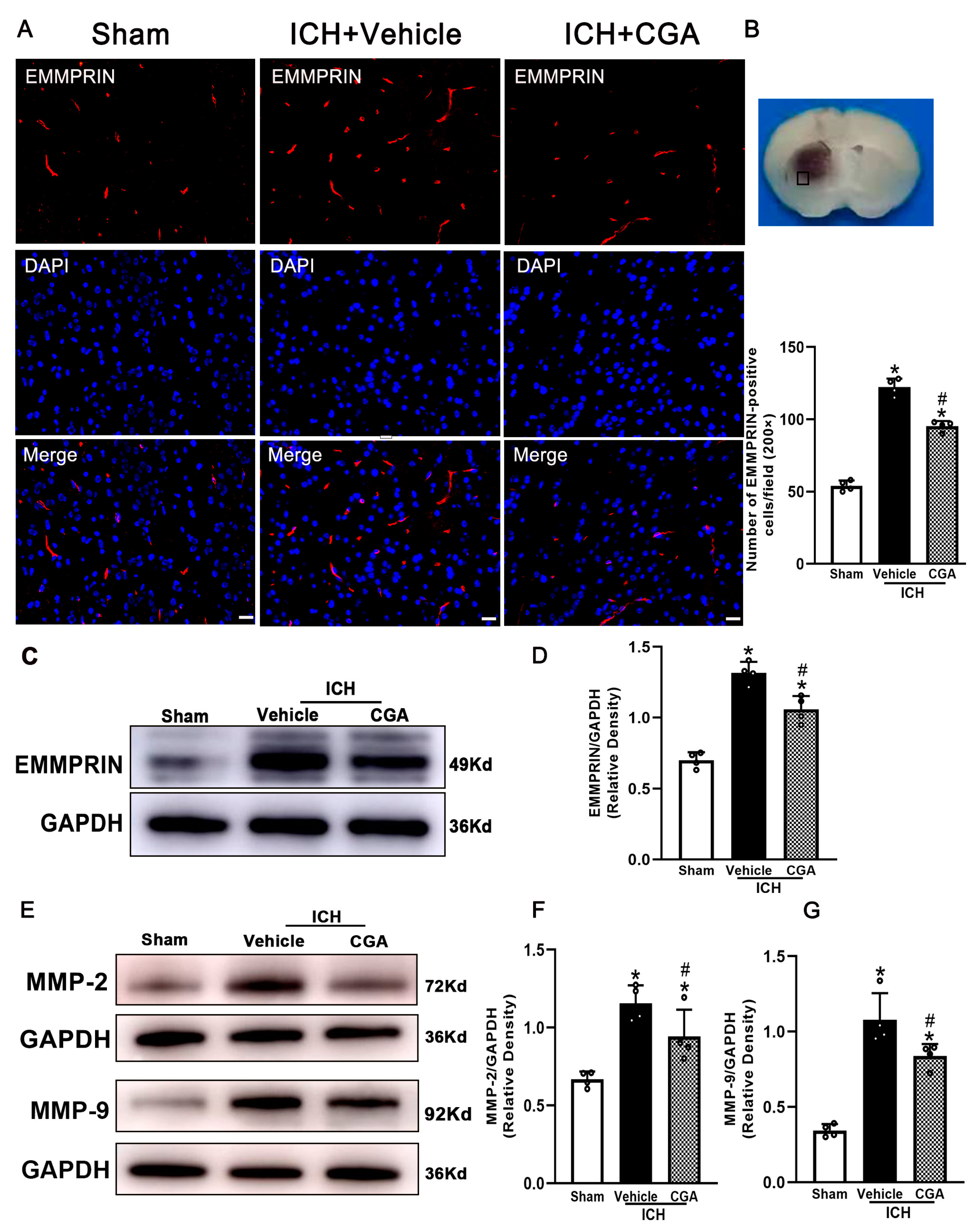 Biomolecules 12 01020 g003