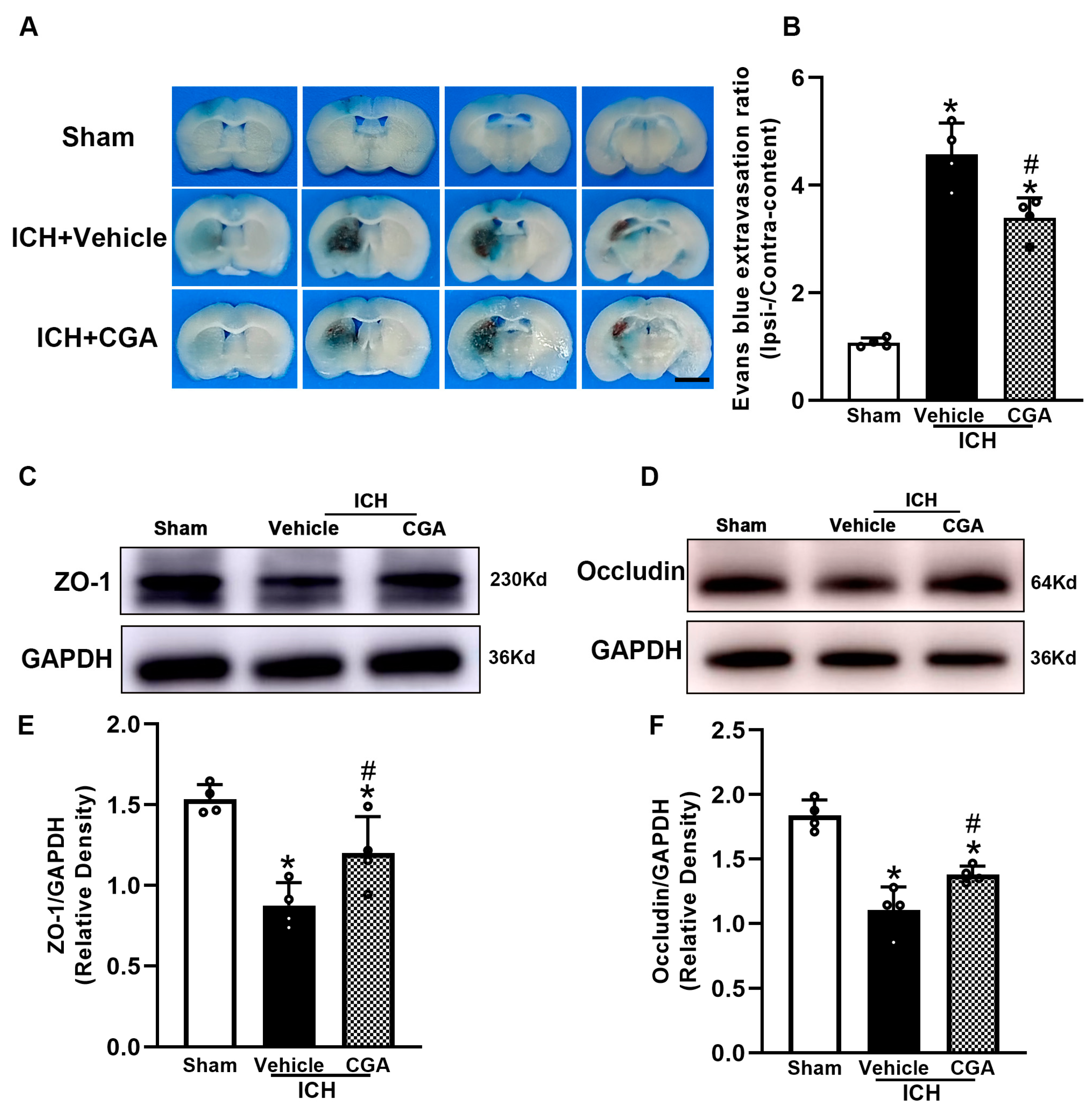 Biomolecules 12 01020 g004