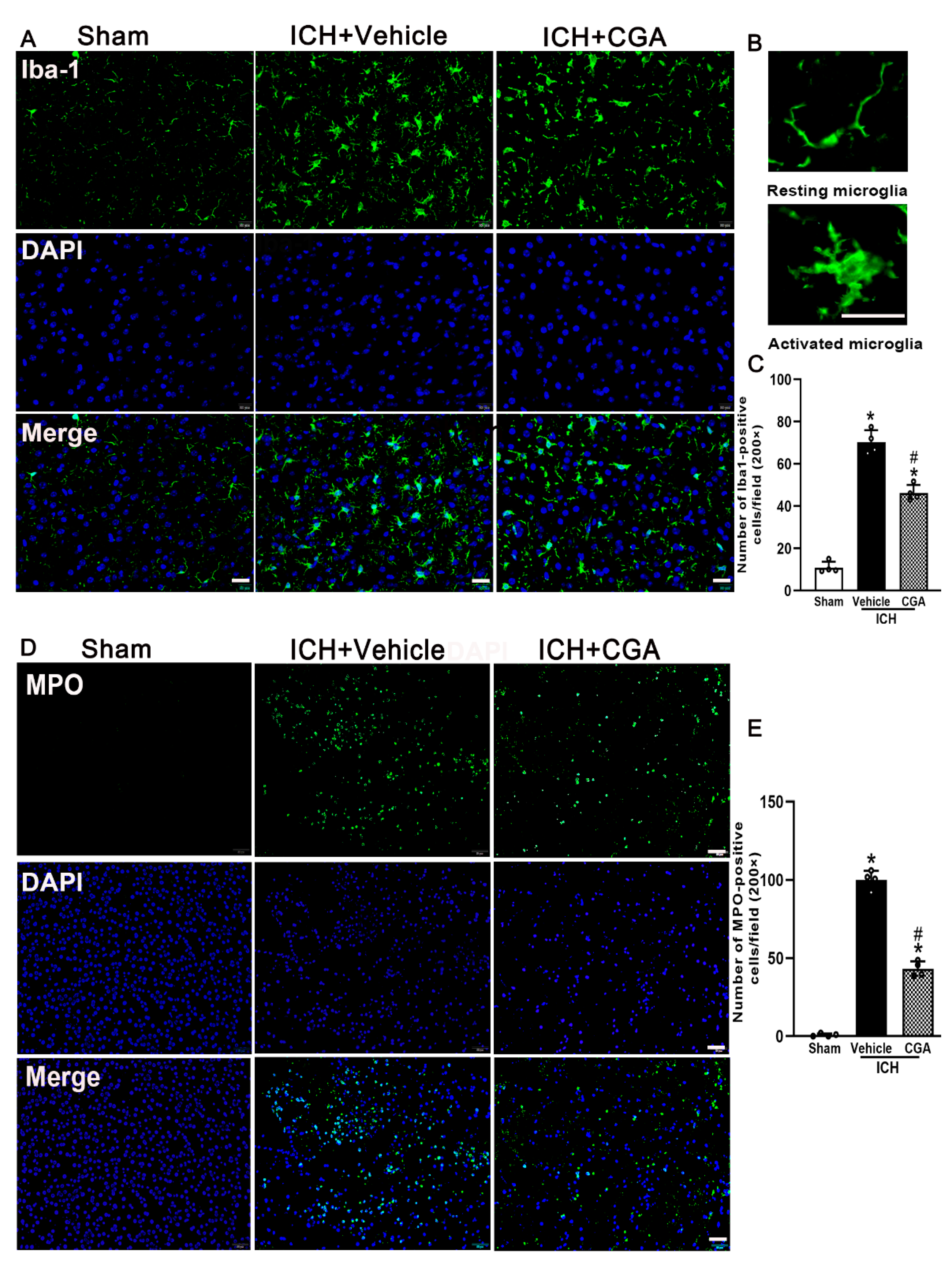 Biomolecules 12 01020 g005