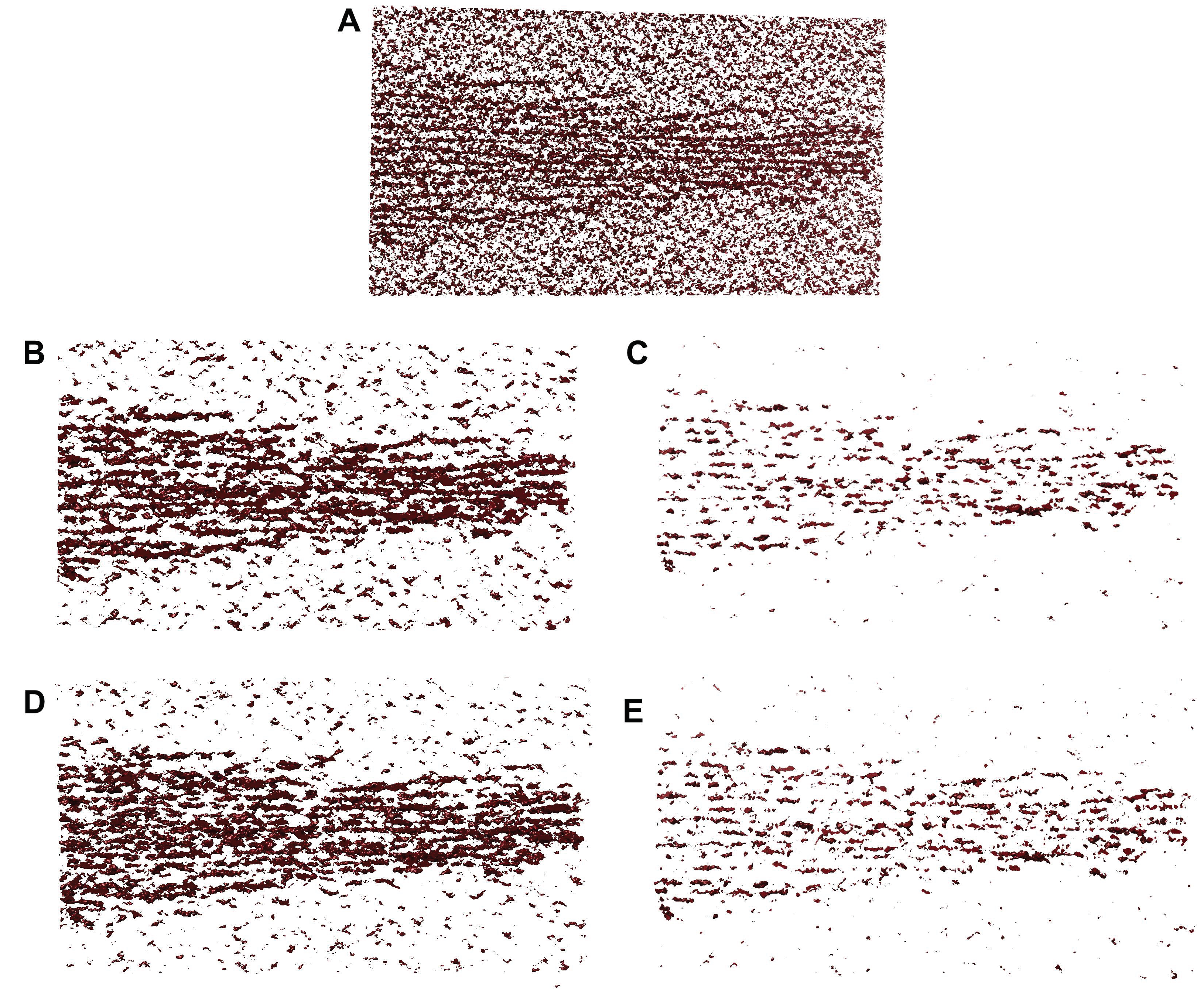 Biomolecules 12 01022 g005 550