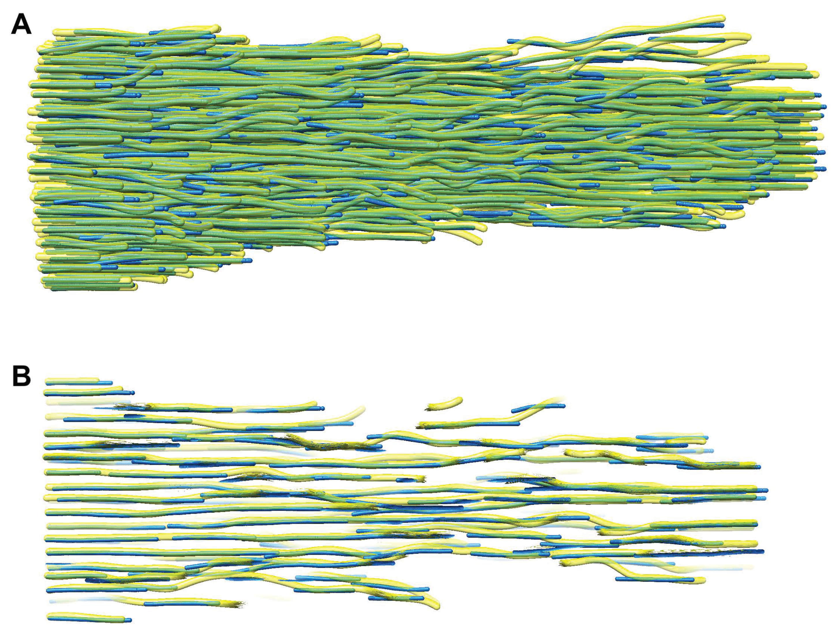 Biomolecules 12 01022 g006 550