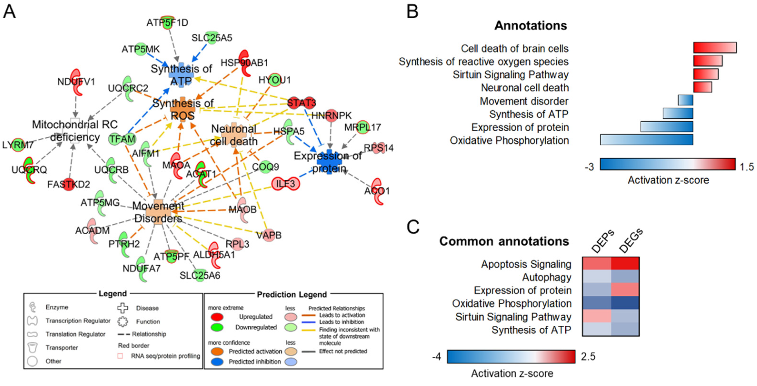 Biomolecules 12 01024 g001