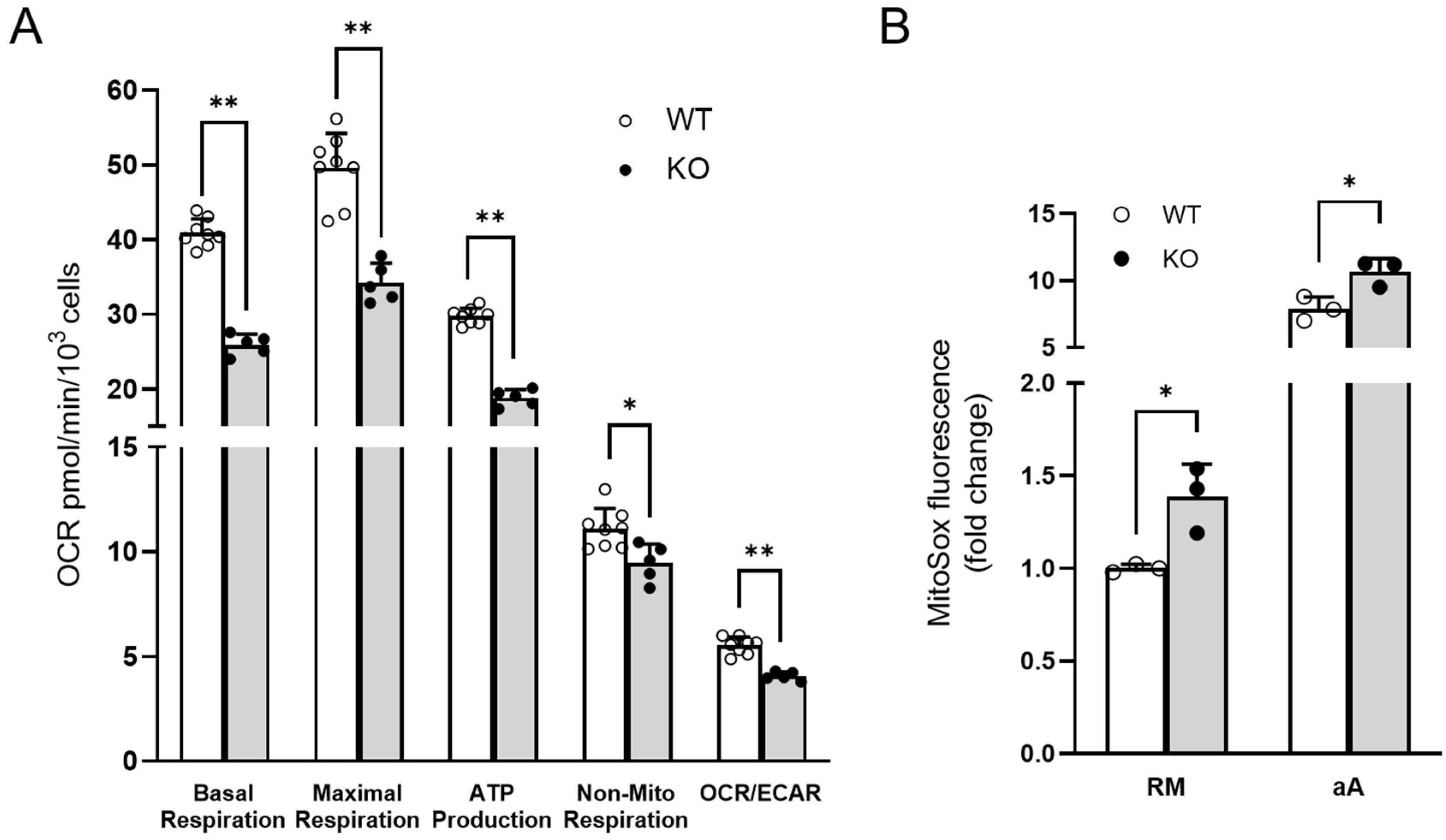 Biomolecules 12 01024 g004
