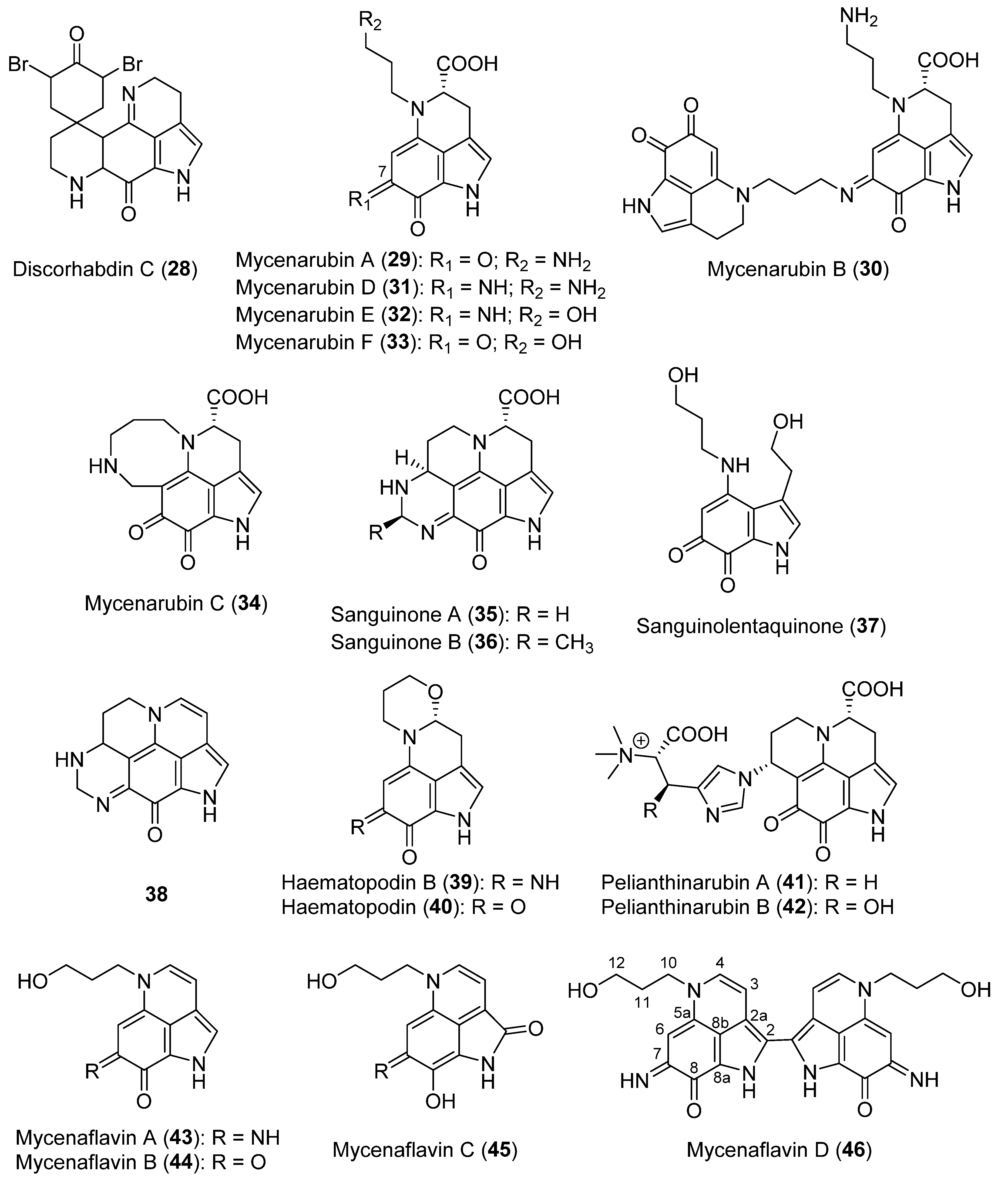 Biomolecules 12 01025 g003