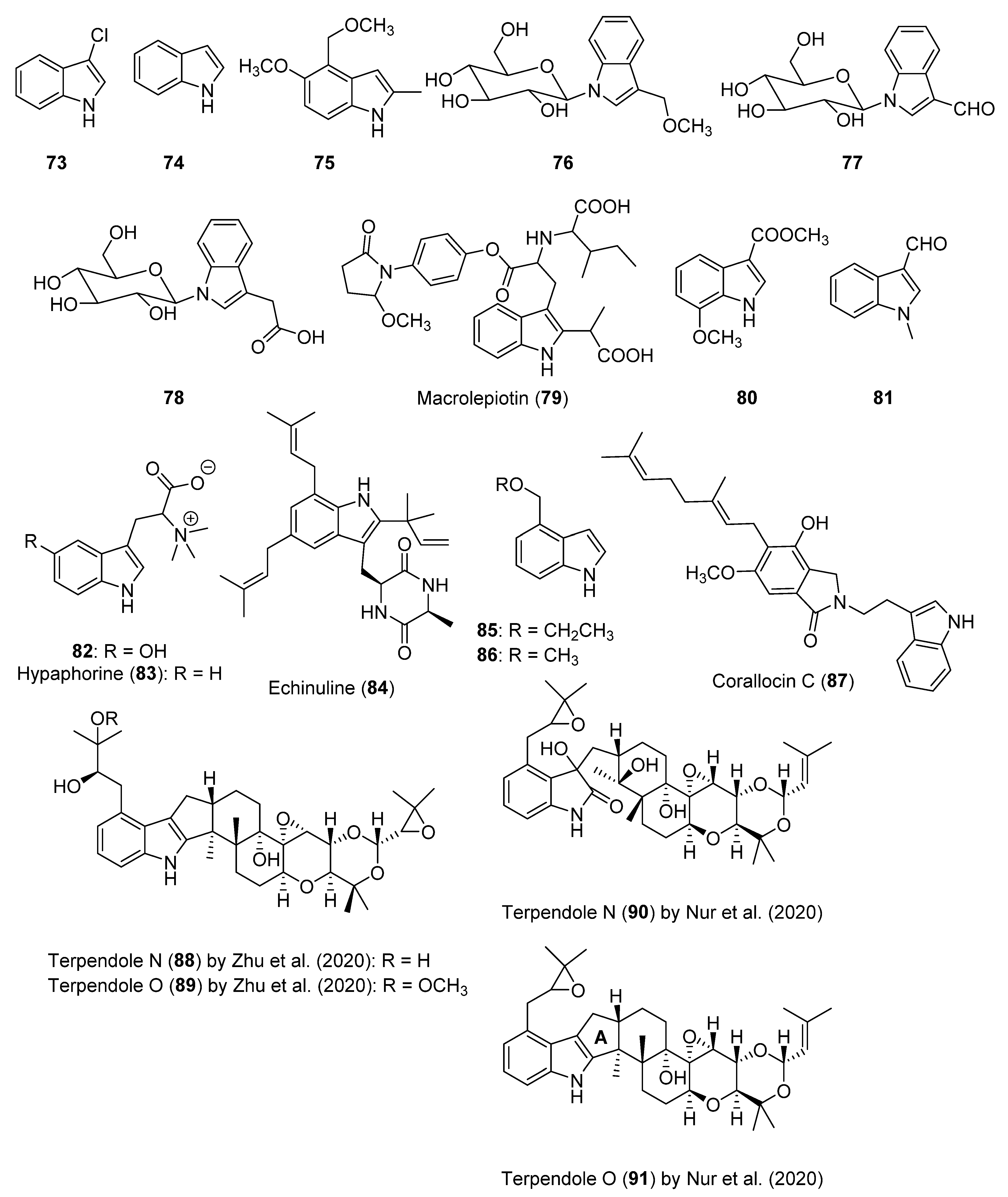 Biomolecules 12 01025 g006