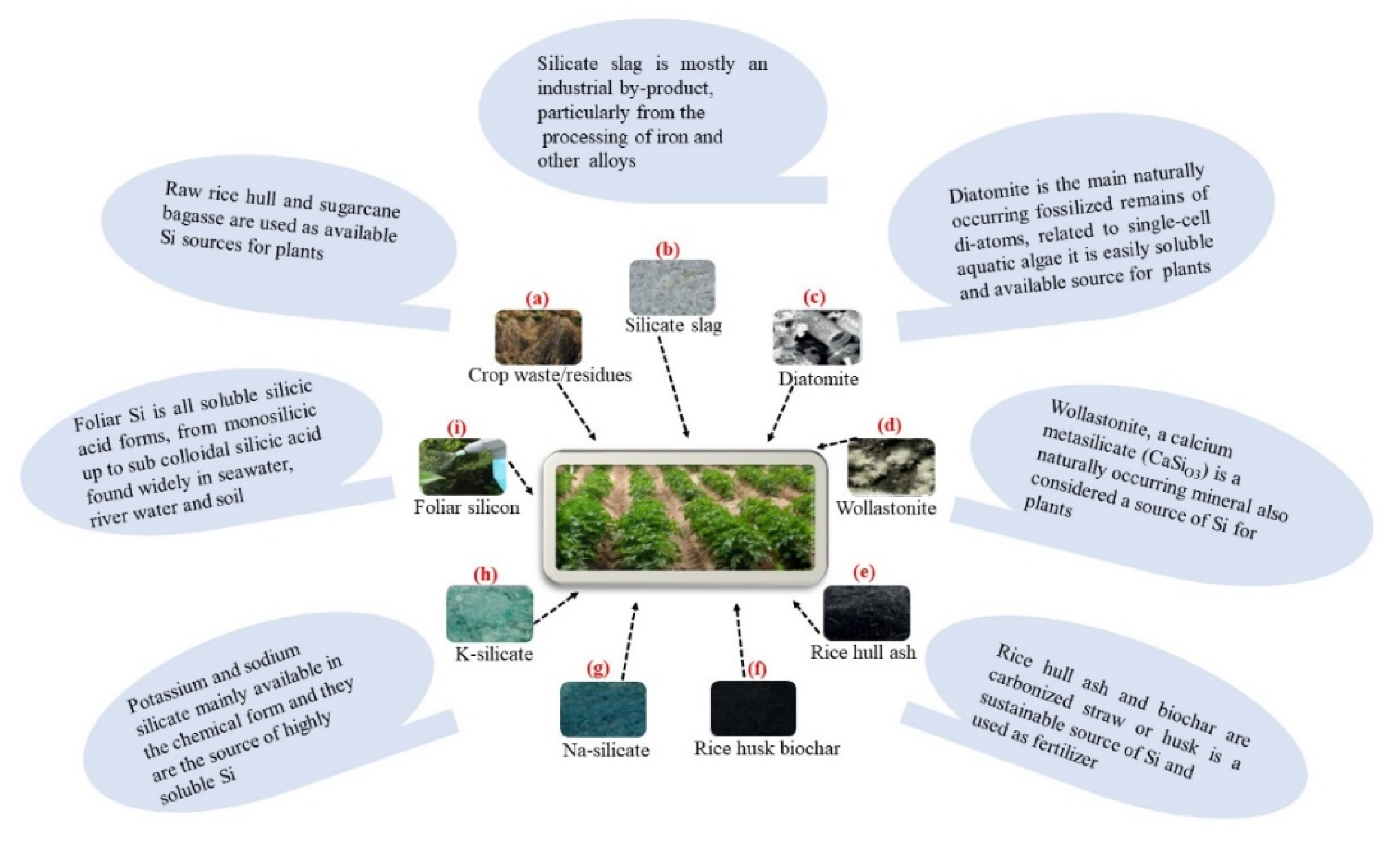 Biomolecules 12 01027 g002