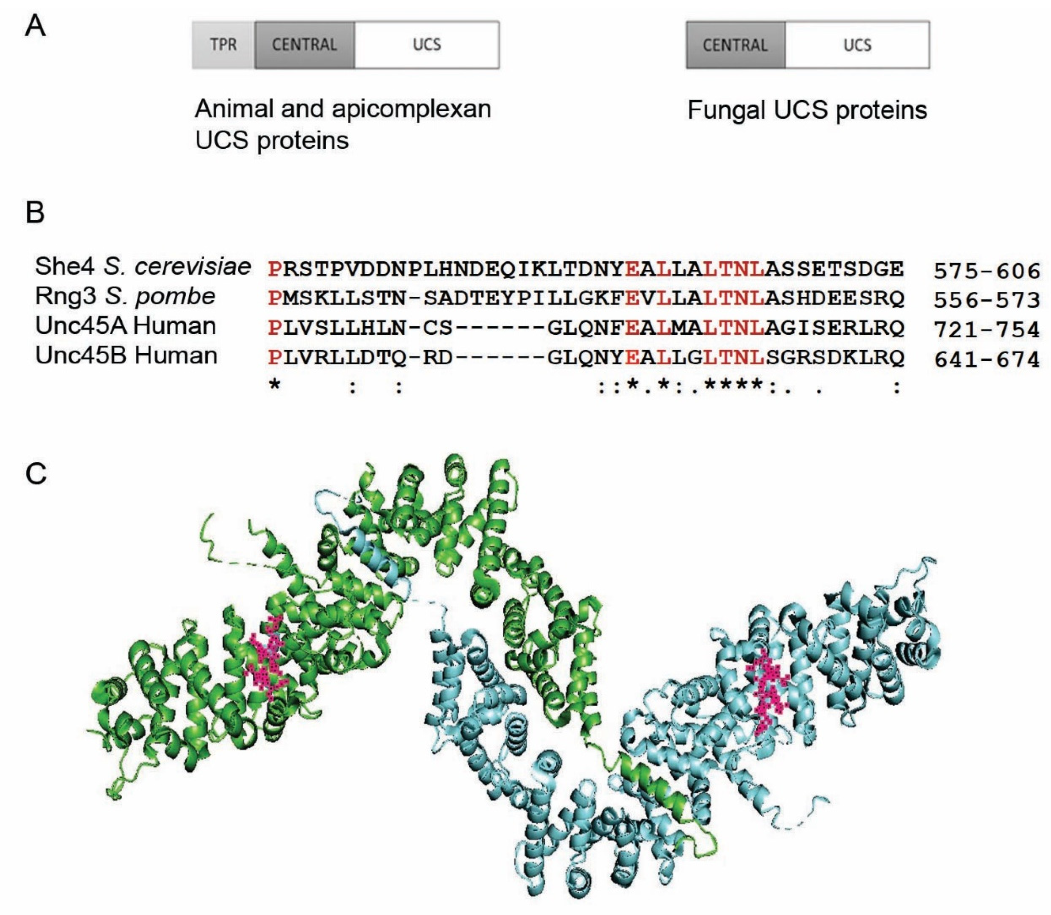 Biomolecules 12 01028 g001