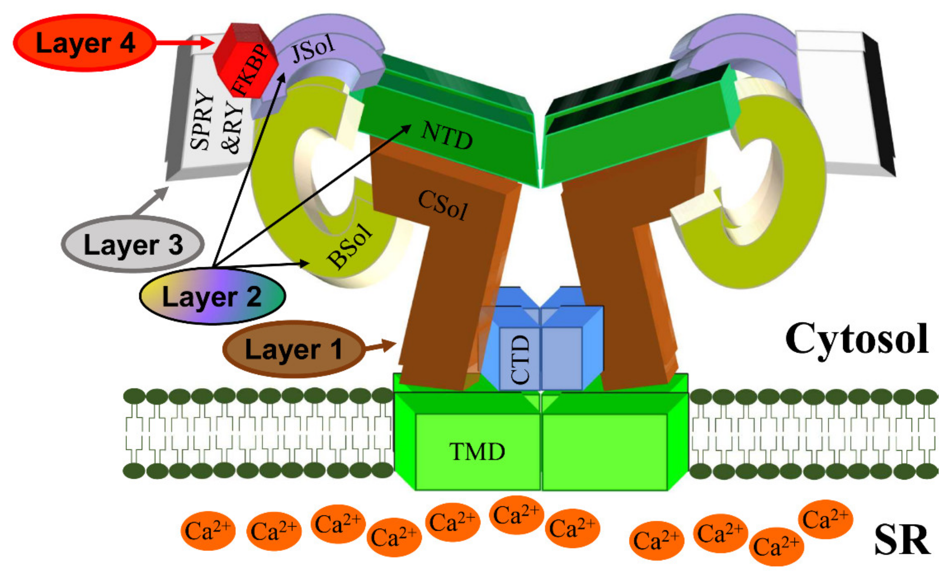 Biomolecules 12 01030 g002 550