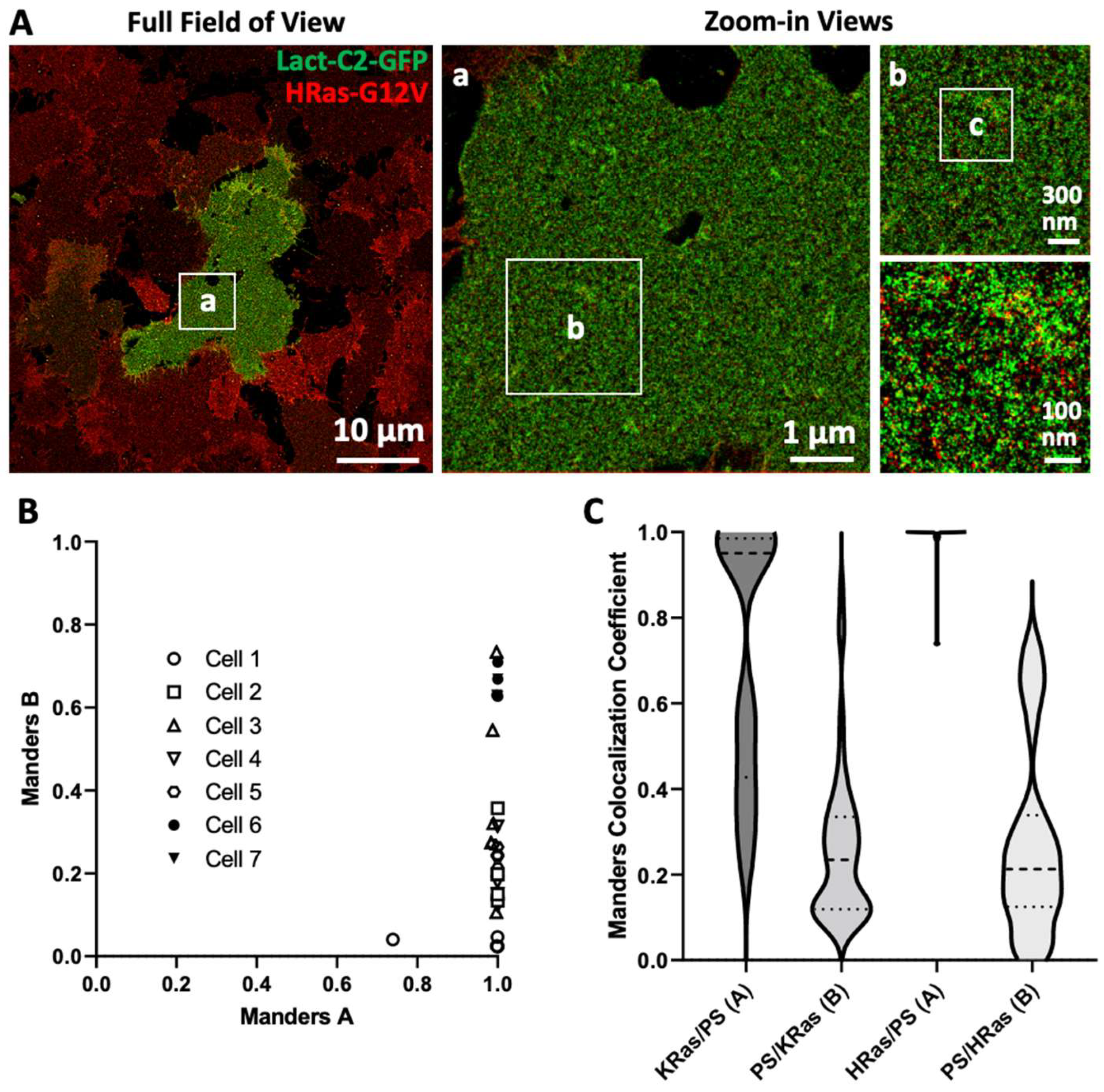 Biomolecules 12 01033 g003 Biomolecules 12 01033 g003