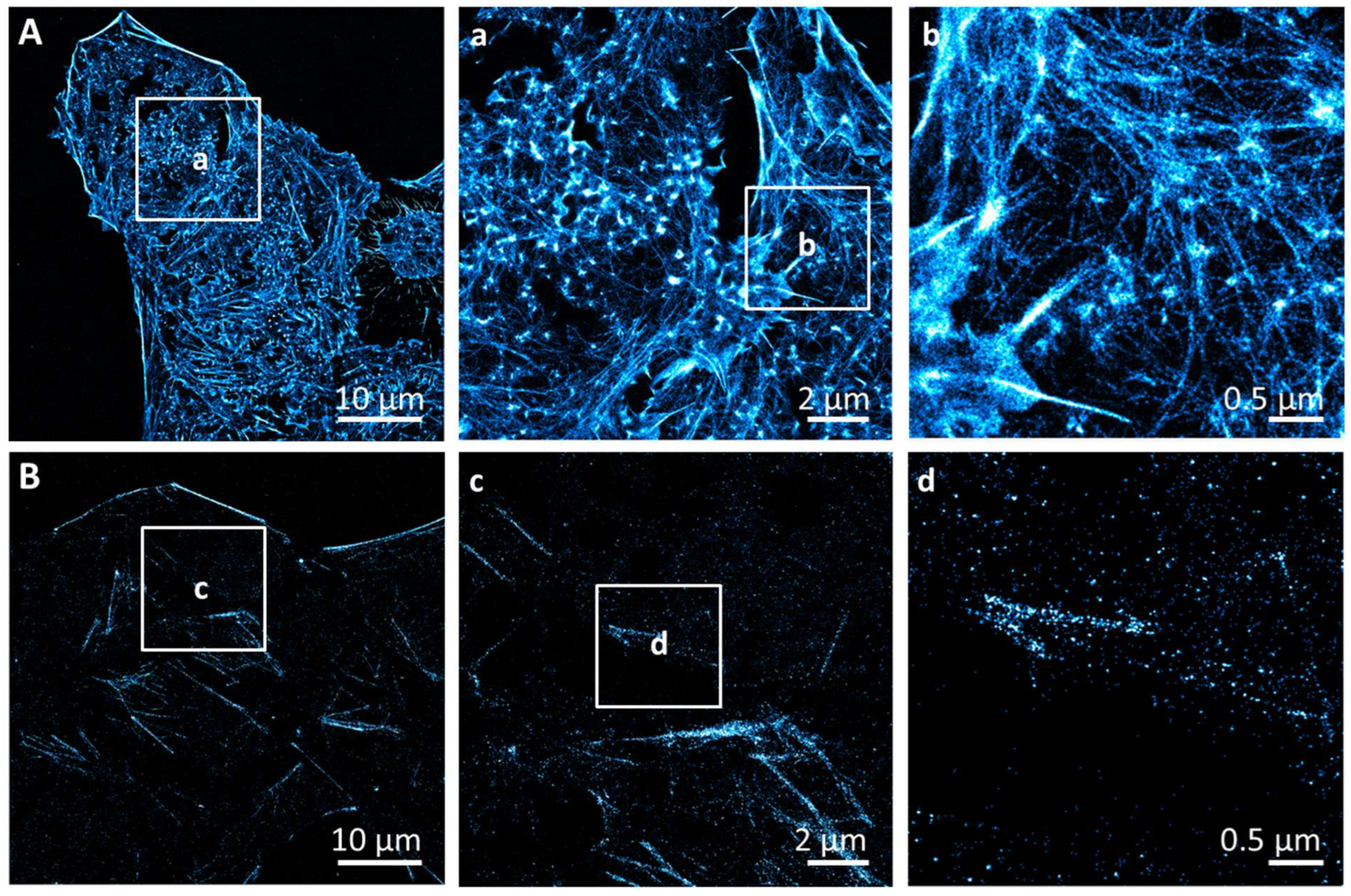 Biomolecules 12 01033 g0a4 Biomolecules 12 01033 g0a4