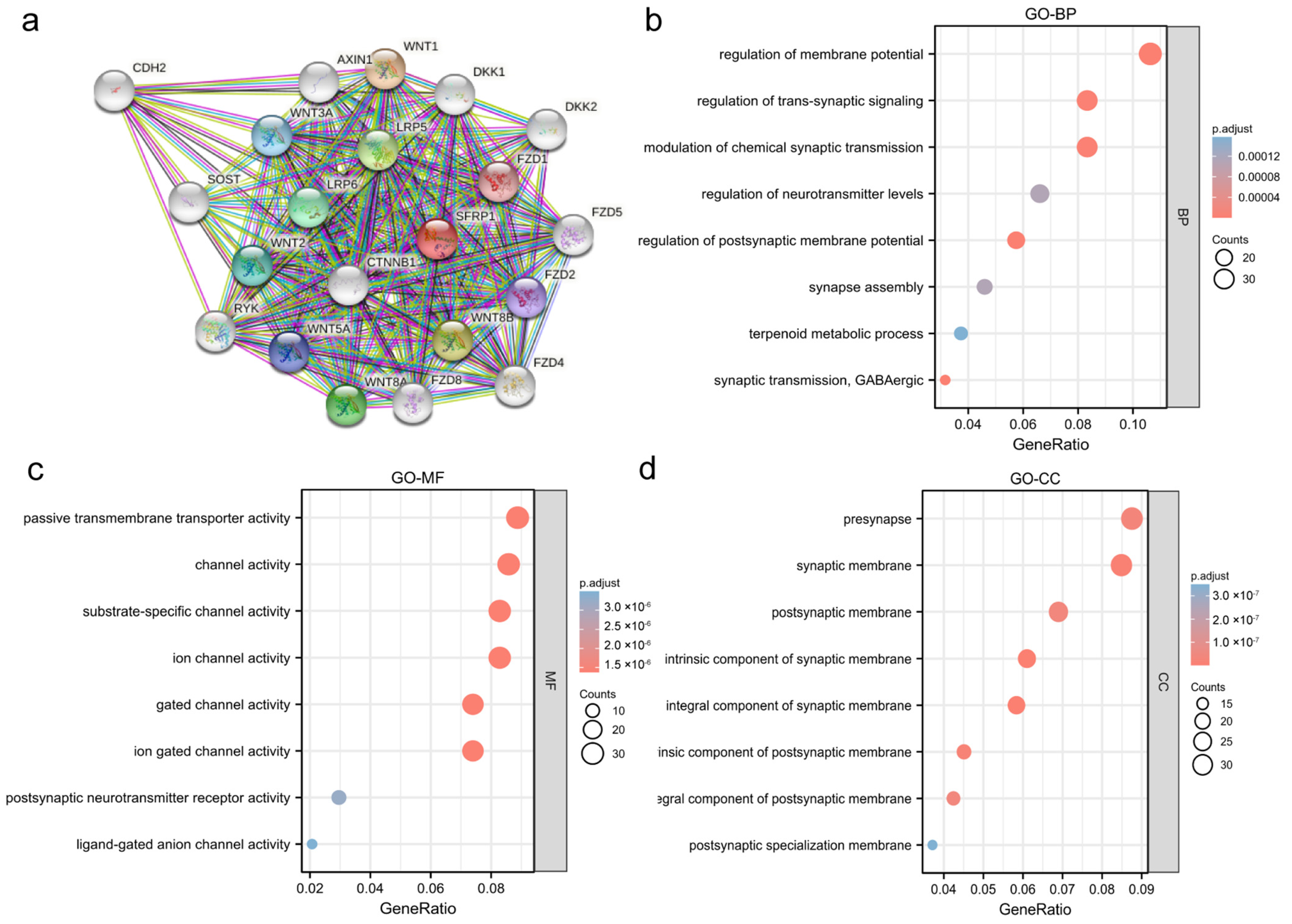 Biomolecules 12 01034 g007 550