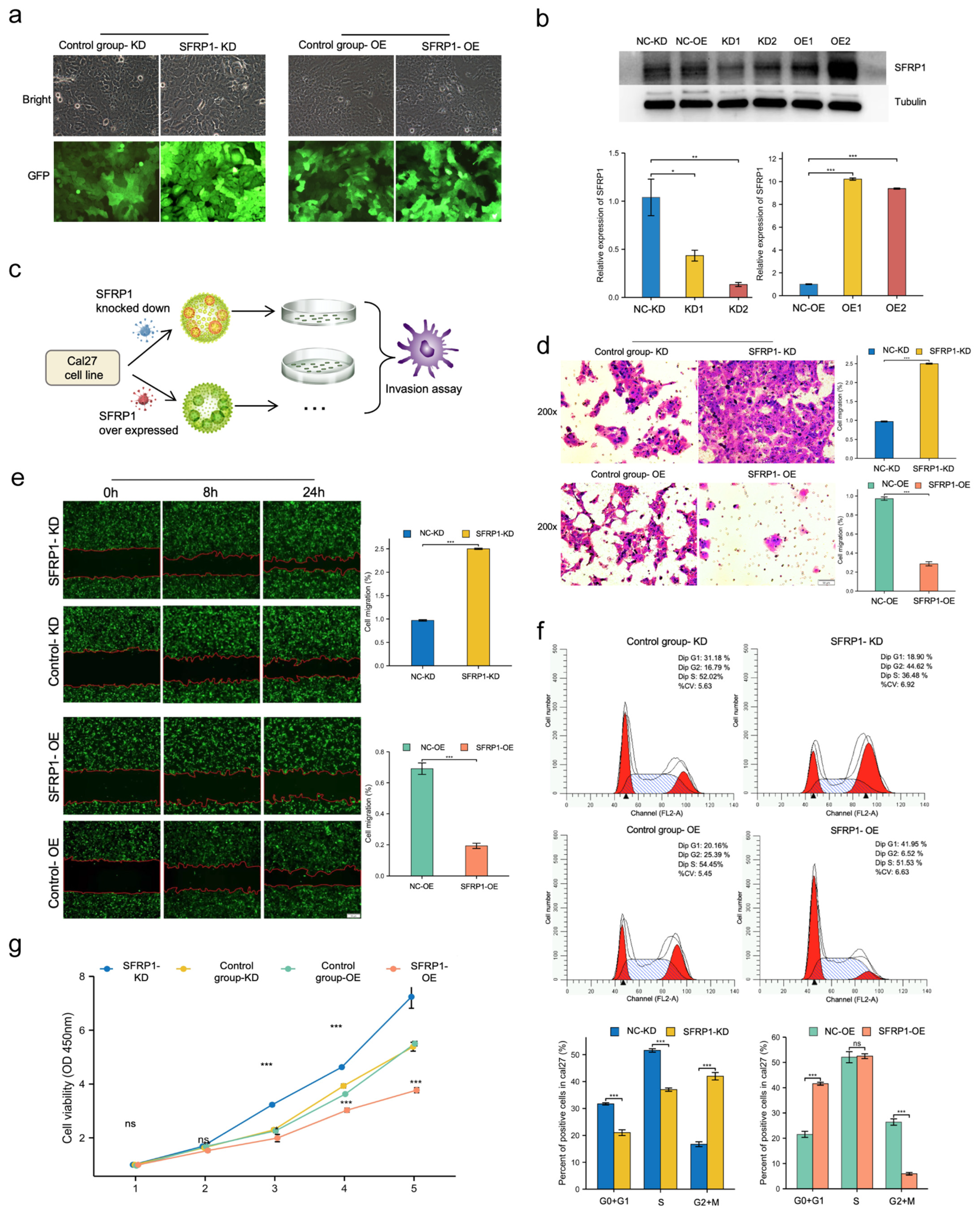 Biomolecules 12 01034 g009 550