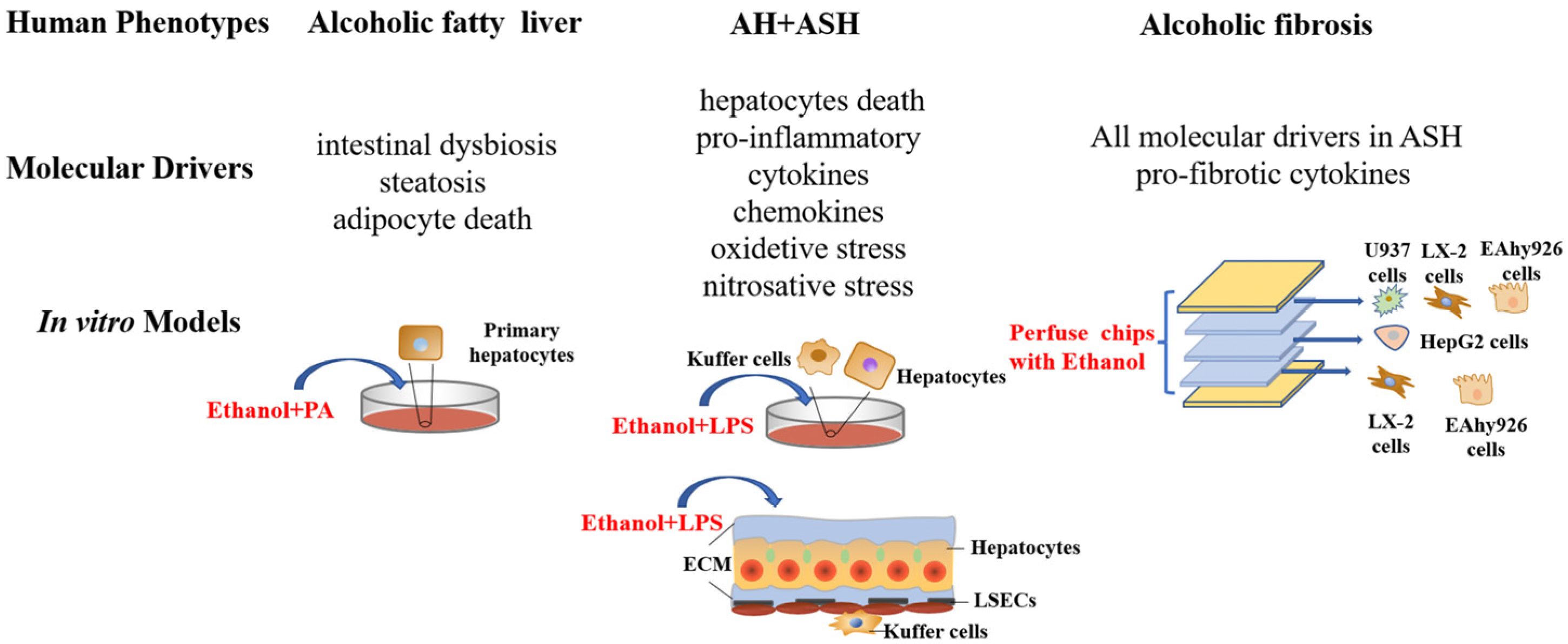 Biomolecules 12 01035 g002 550