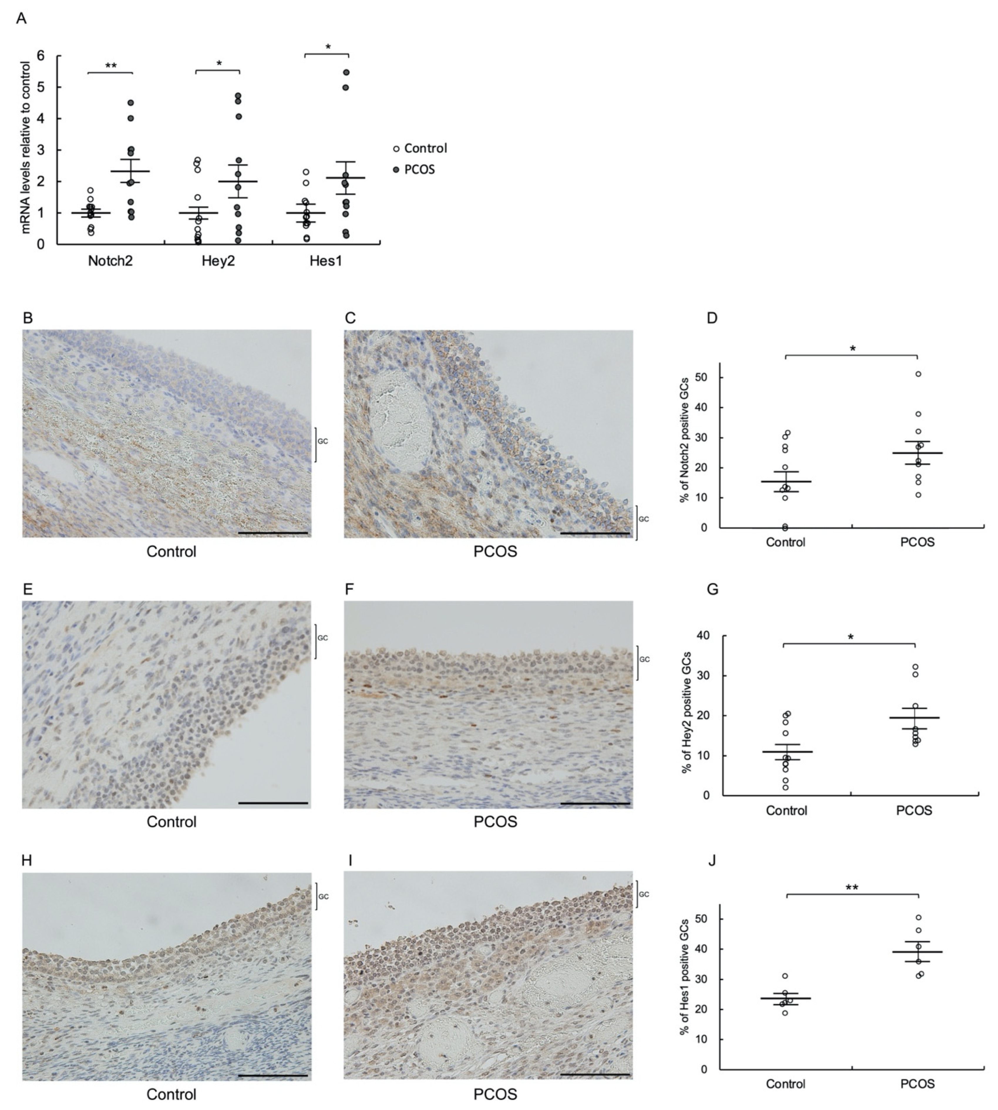 Biomolecules 12 01037 g001