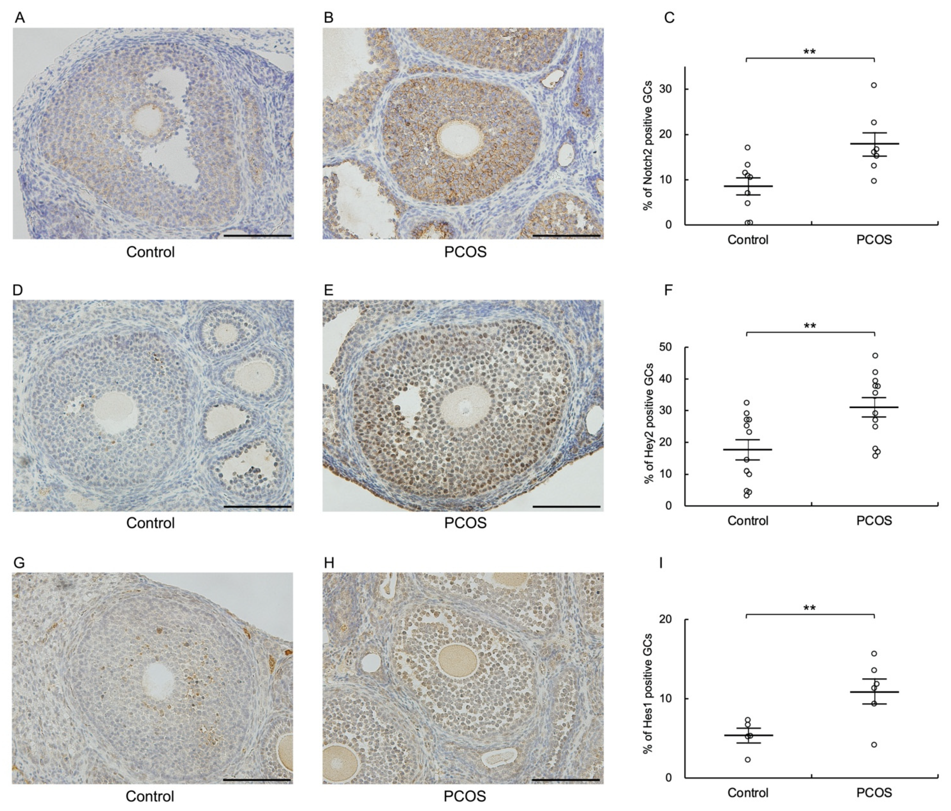 Biomolecules 12 01037 g002
