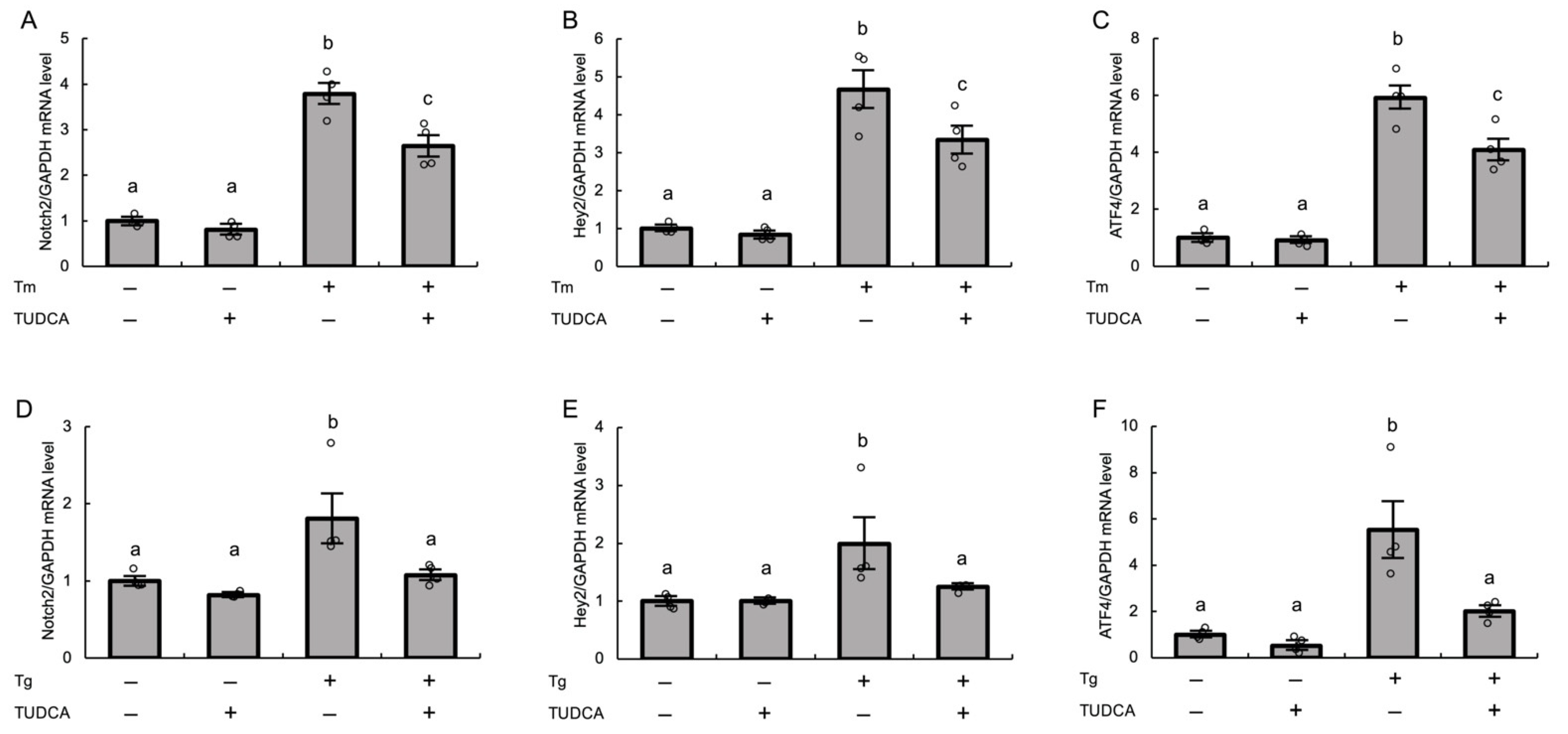 Biomolecules 12 01037 g003