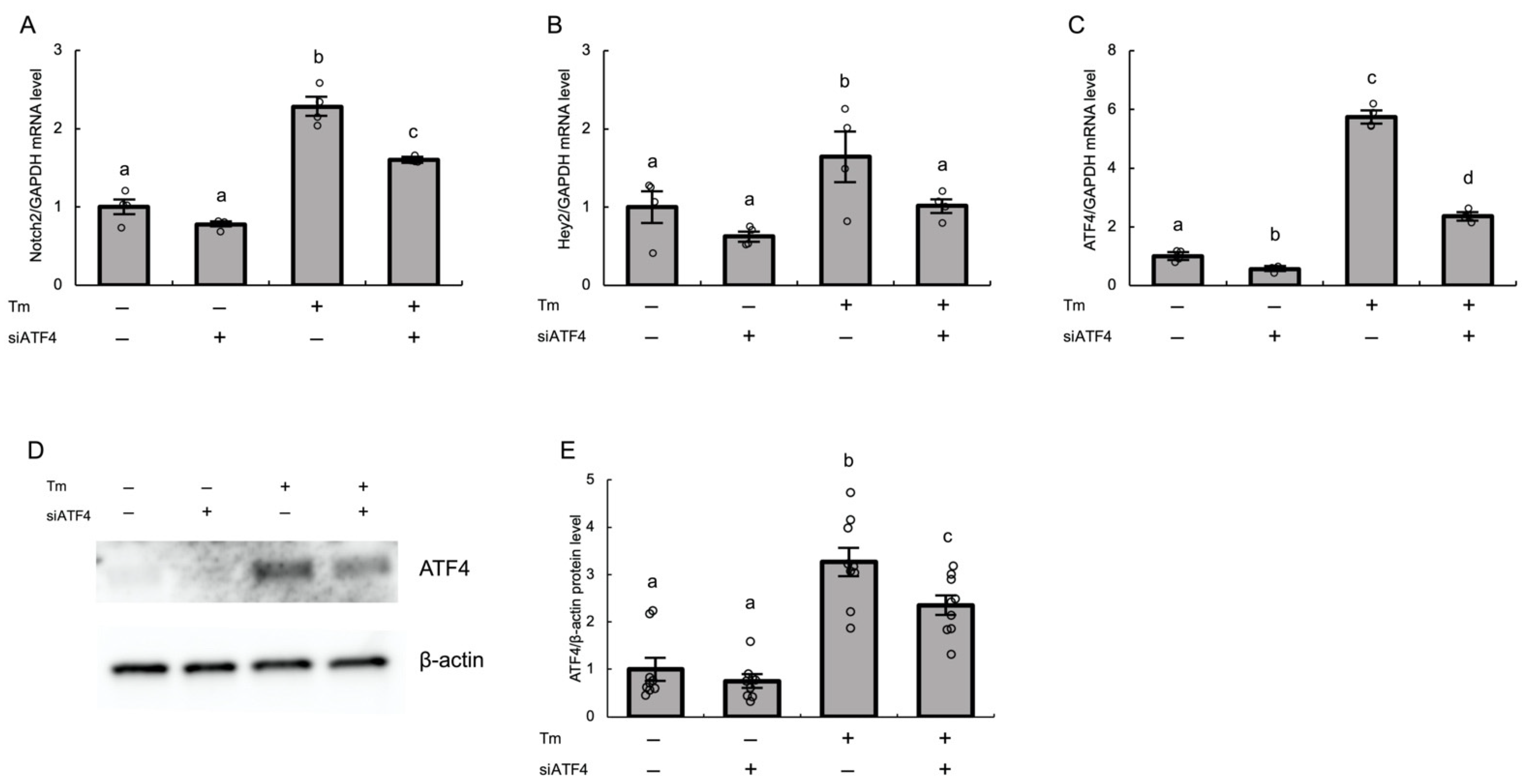 Biomolecules 12 01037 g004