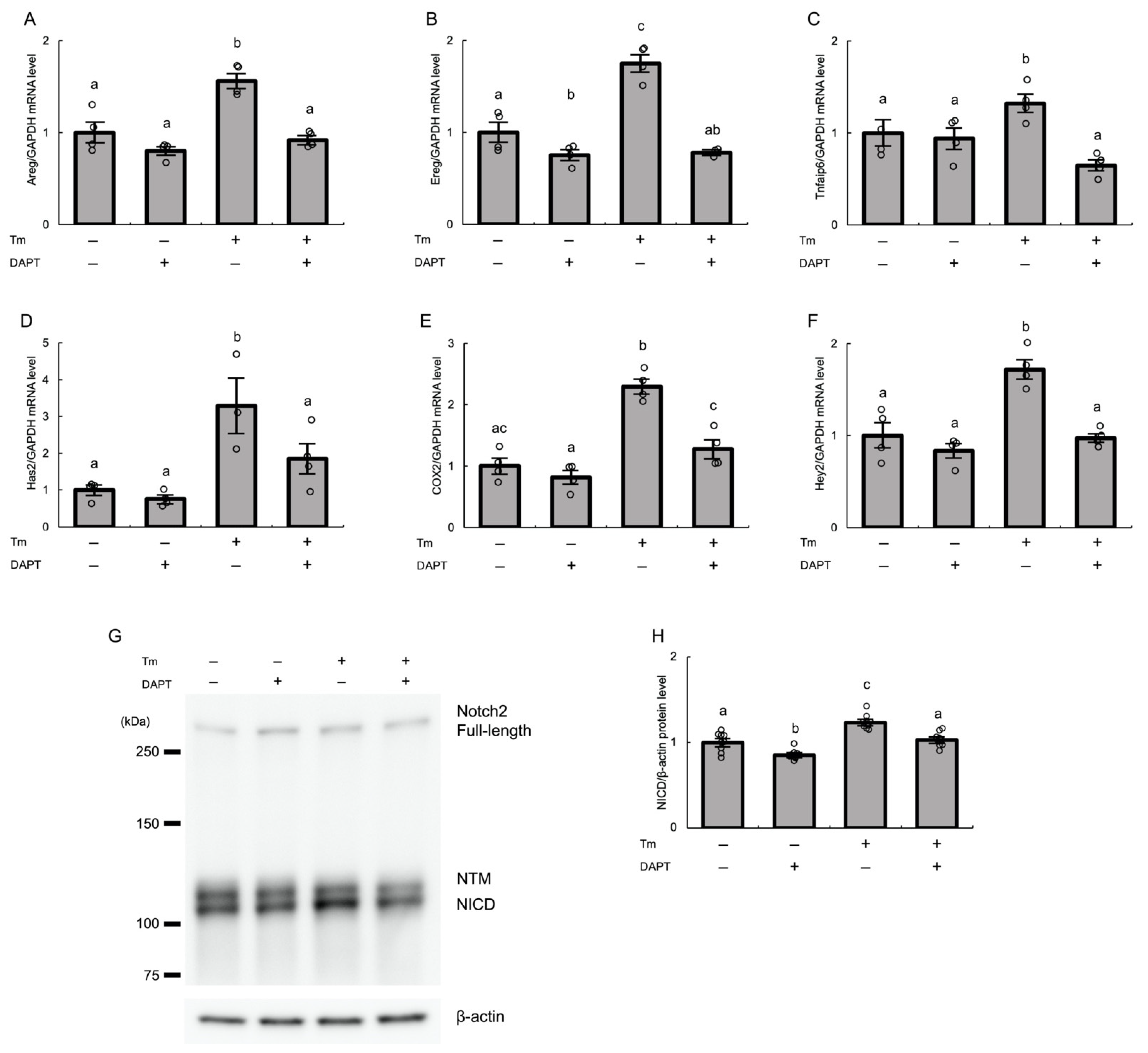 Biomolecules 12 01037 g005